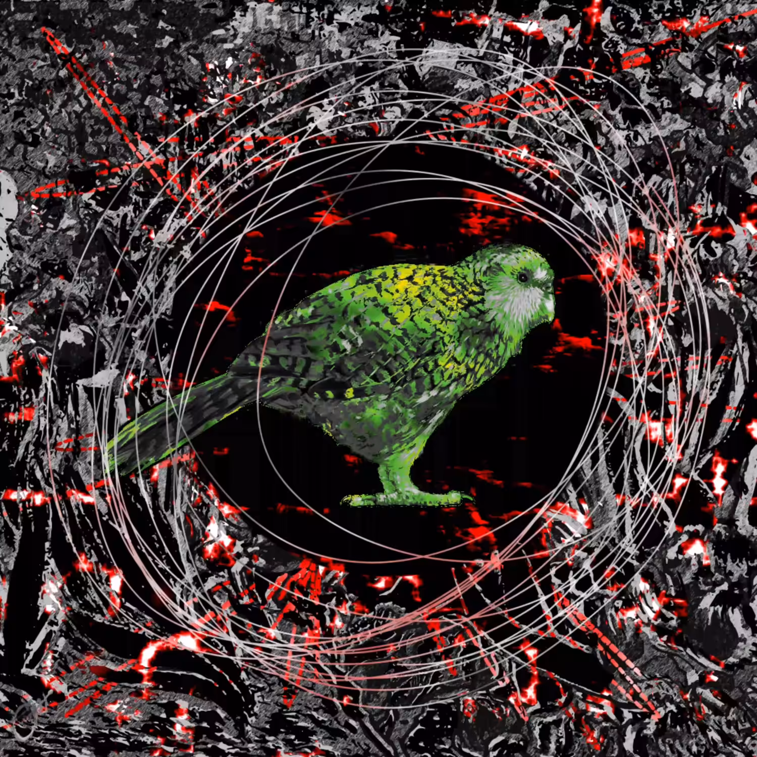 KaKapo