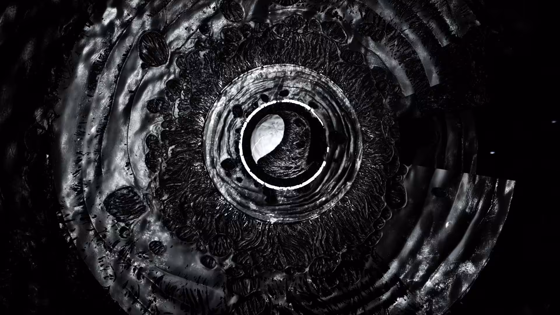 EYE[02]
