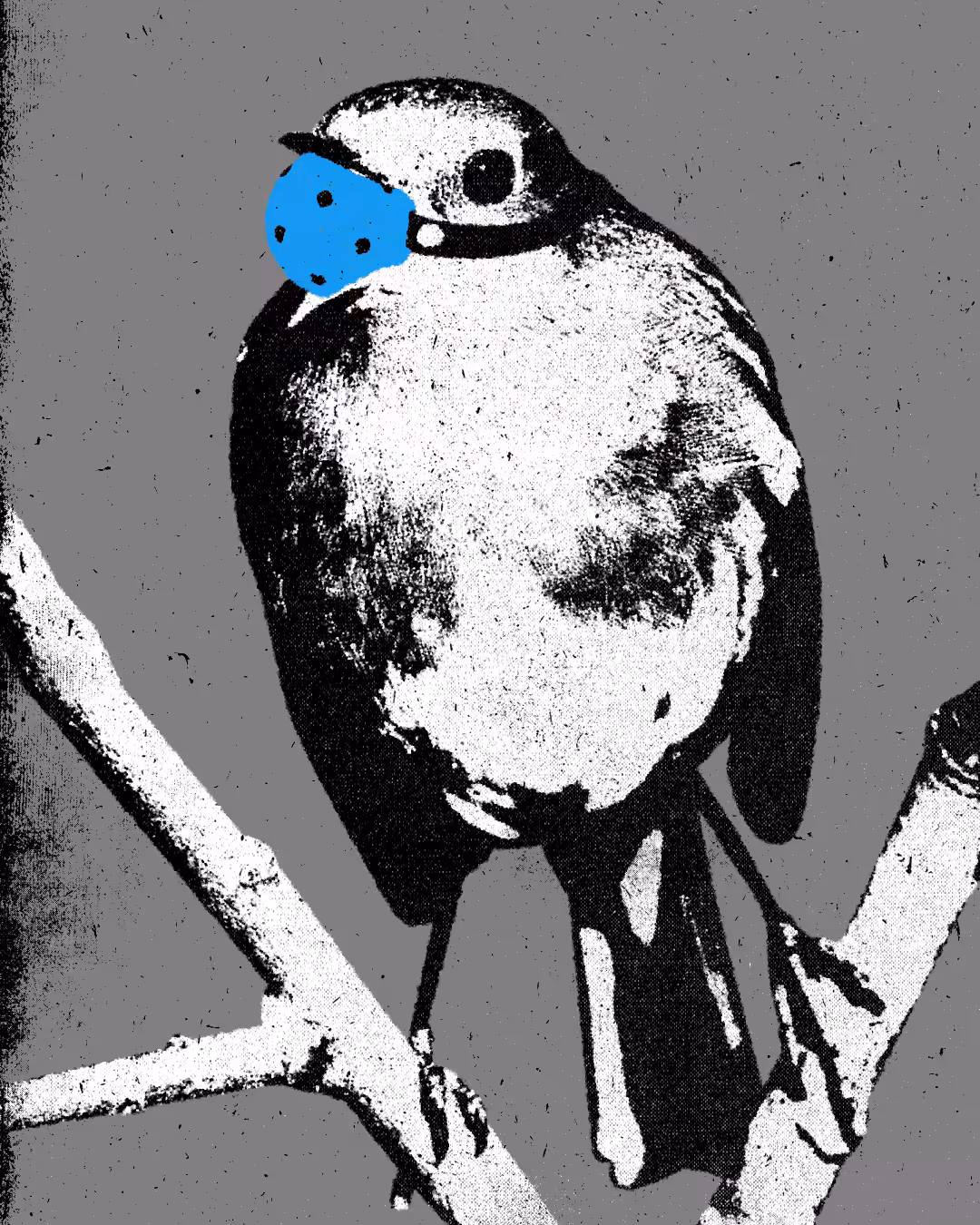 Free Speech (Blue)
