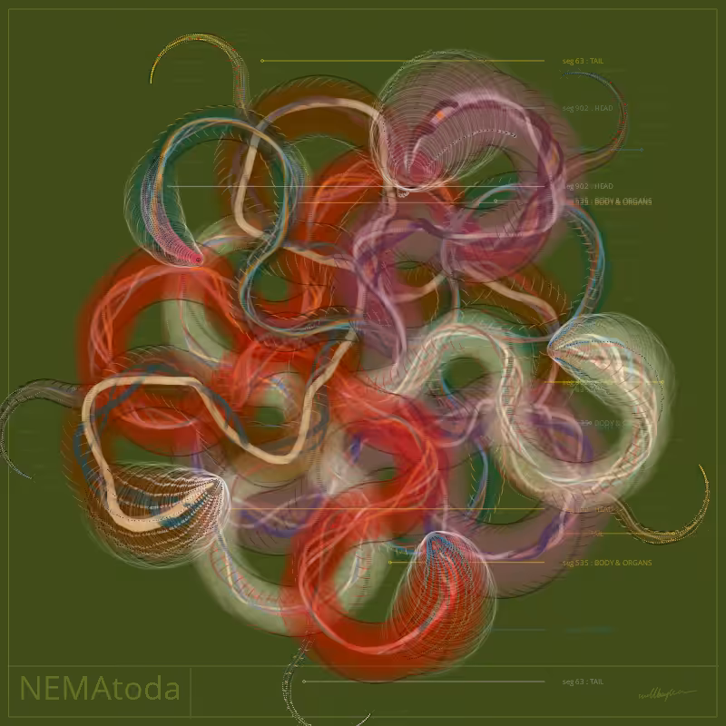NEMA #58