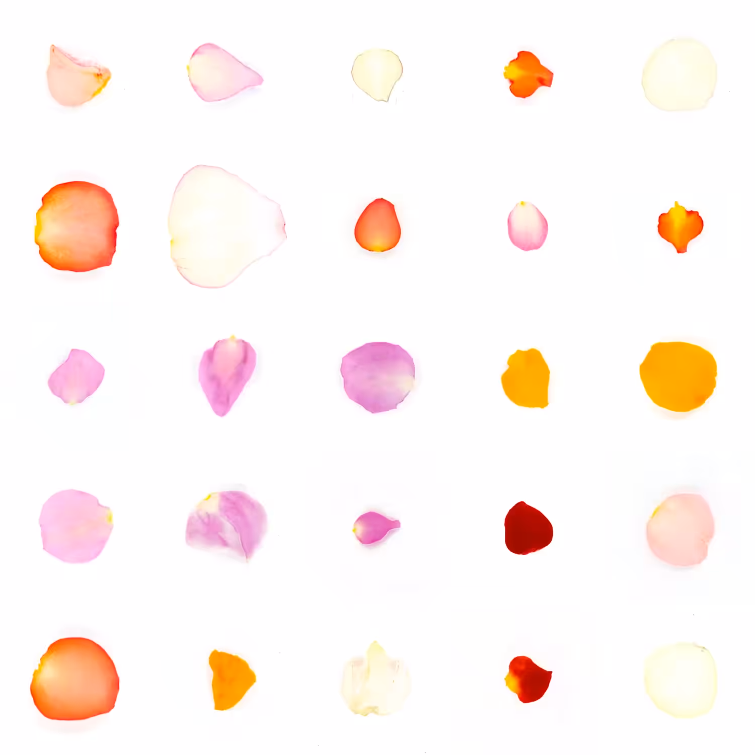 Infinite Petals 5x5#20403