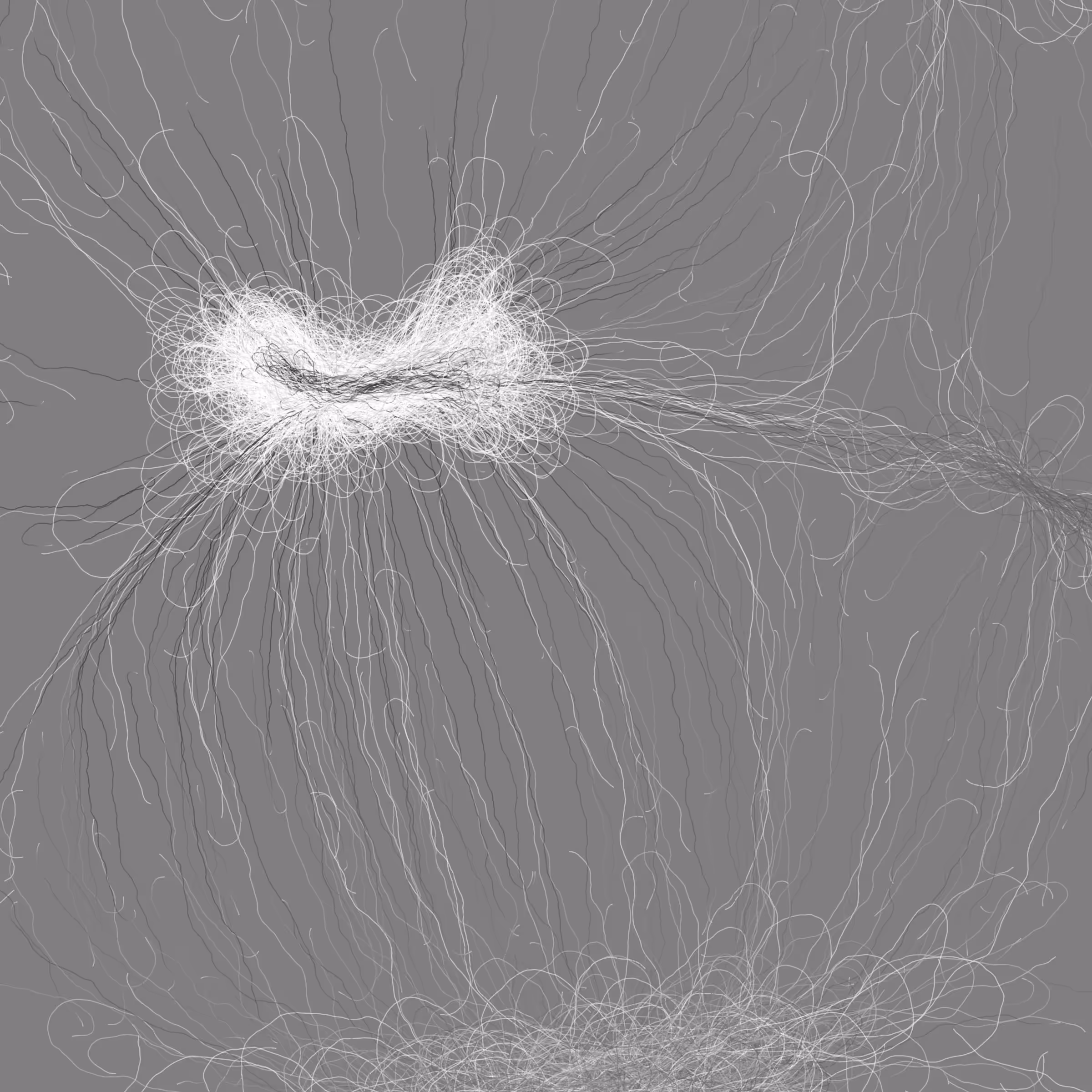 Phototaxis #969