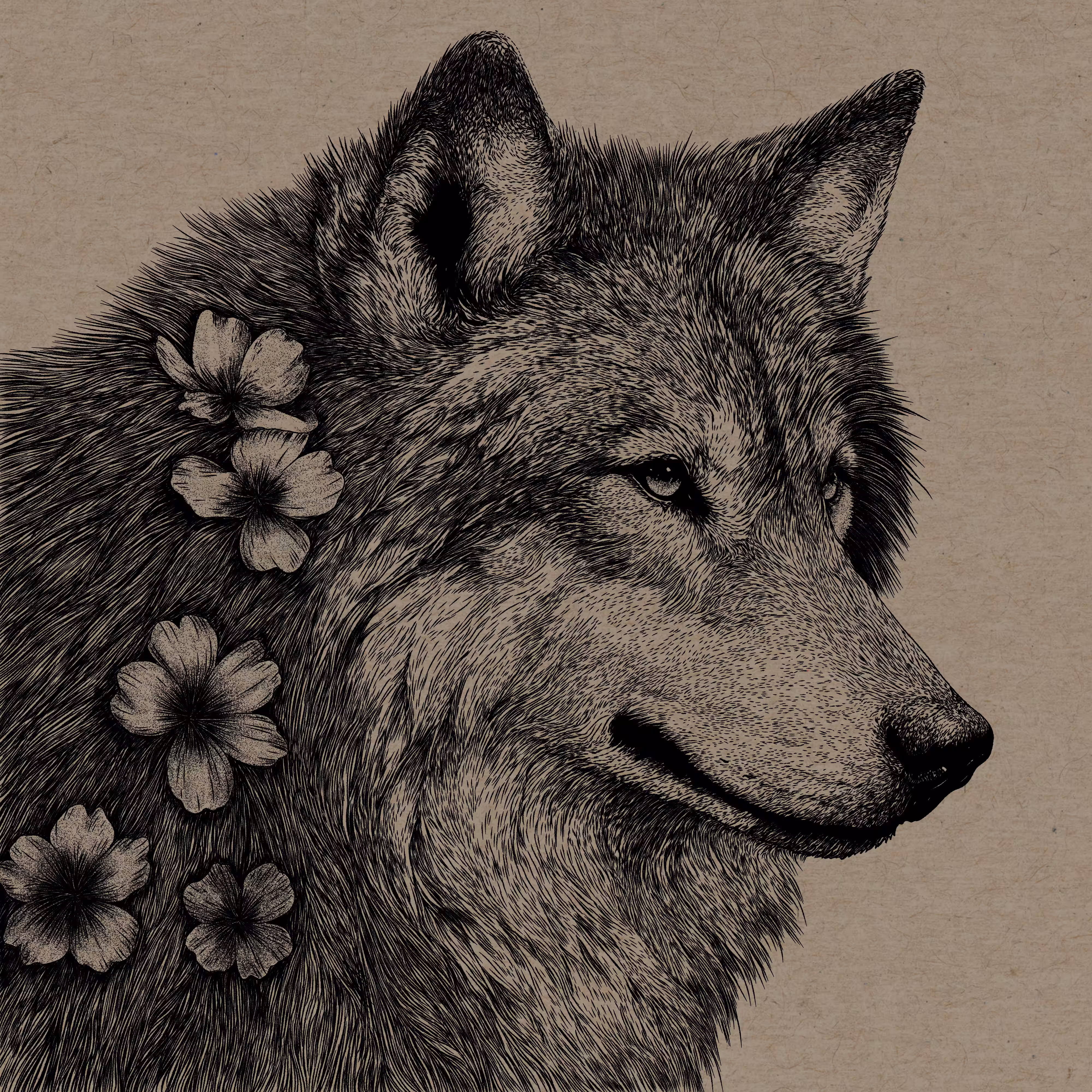 wolf mother #5
