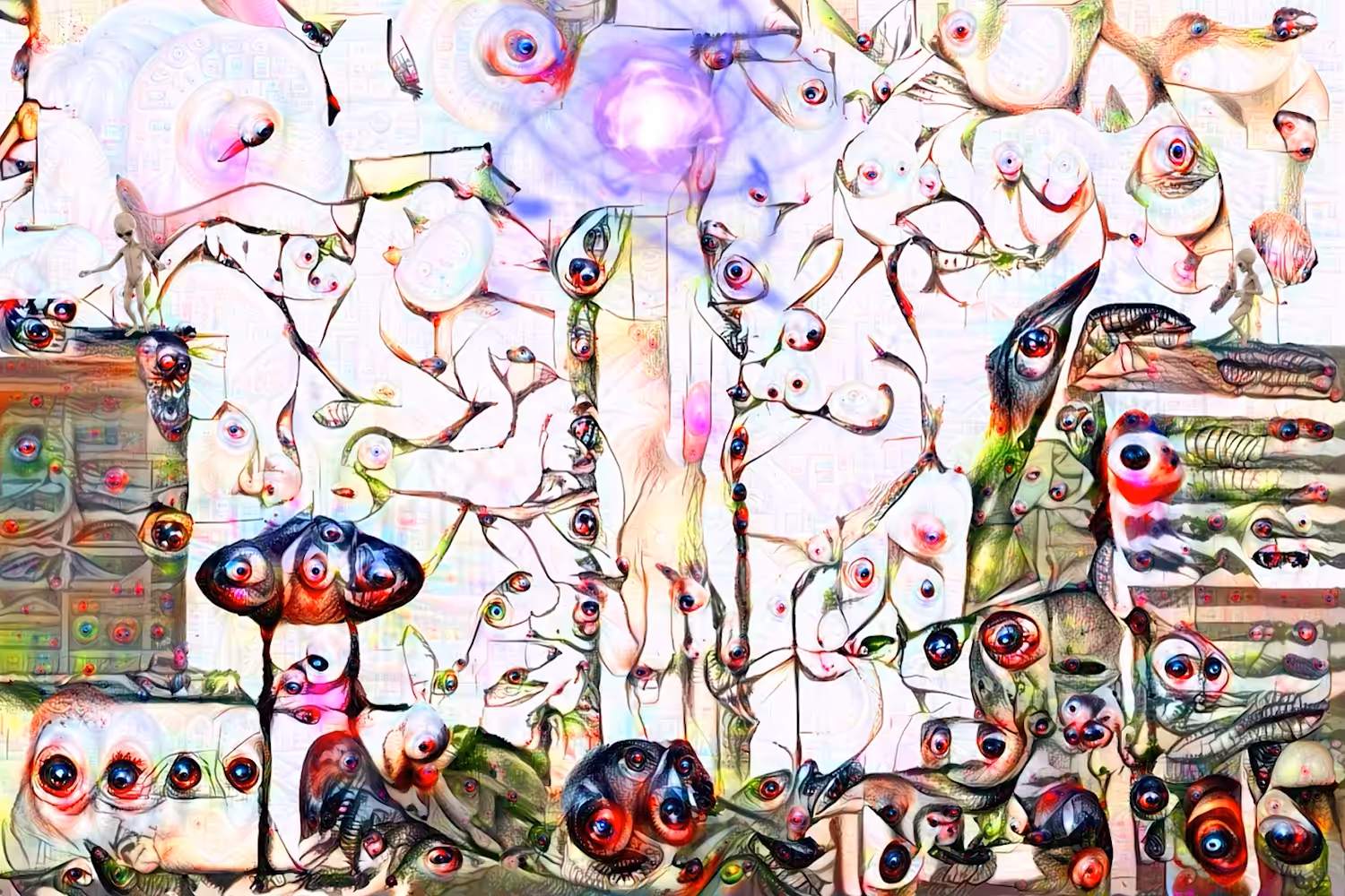 Don't Look: No Pigs in the Sky