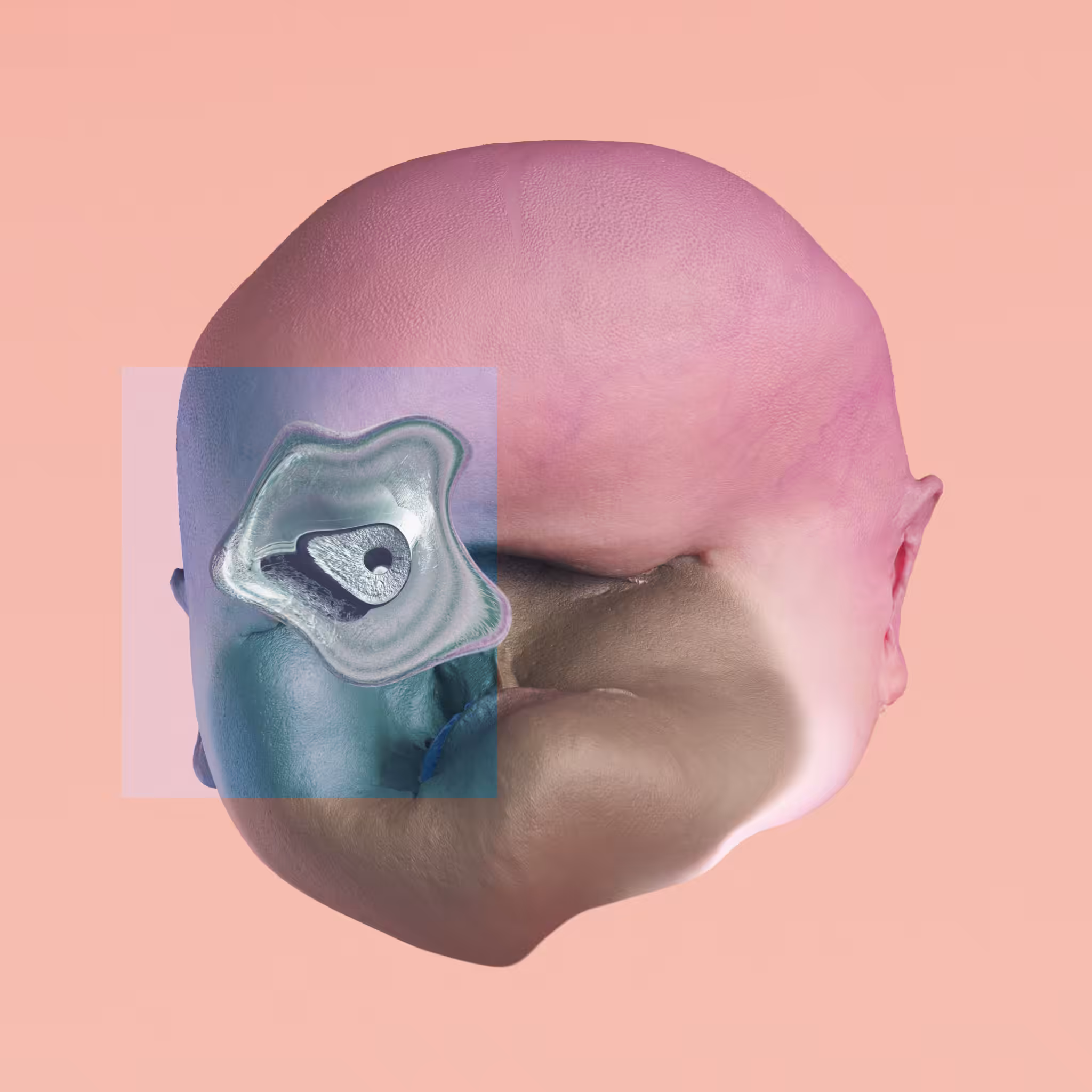 DEGEN #016