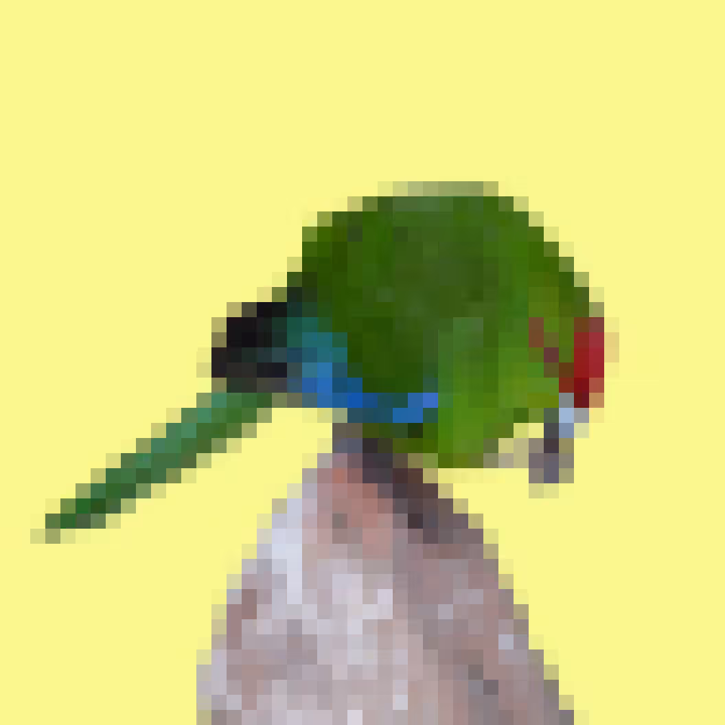 PixlBird #026