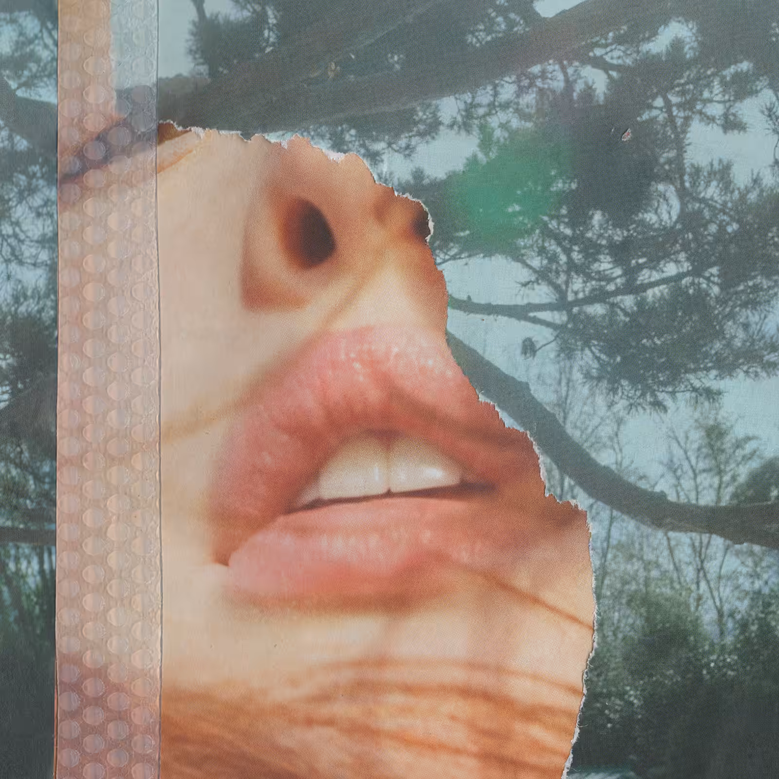 1mouth analog #53