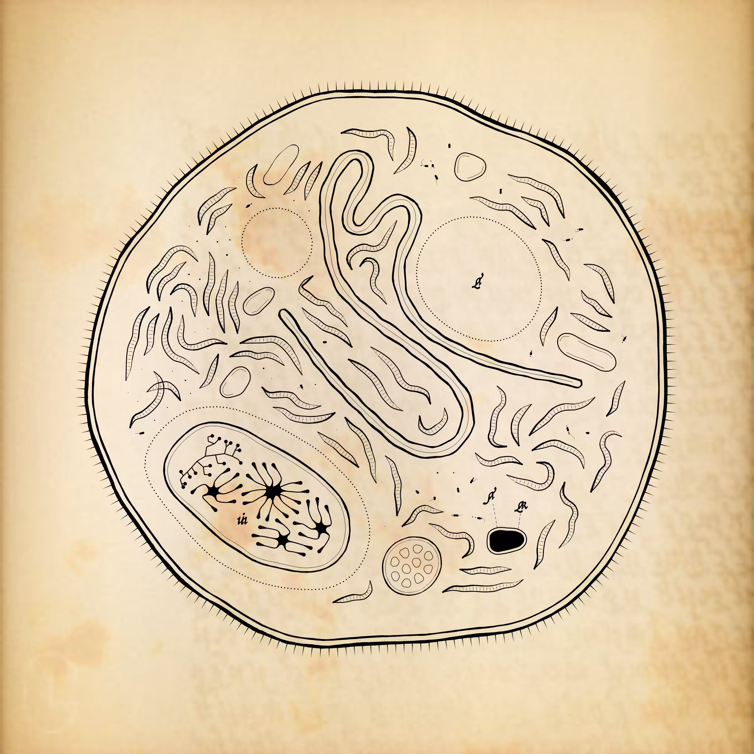 Cytographia #169