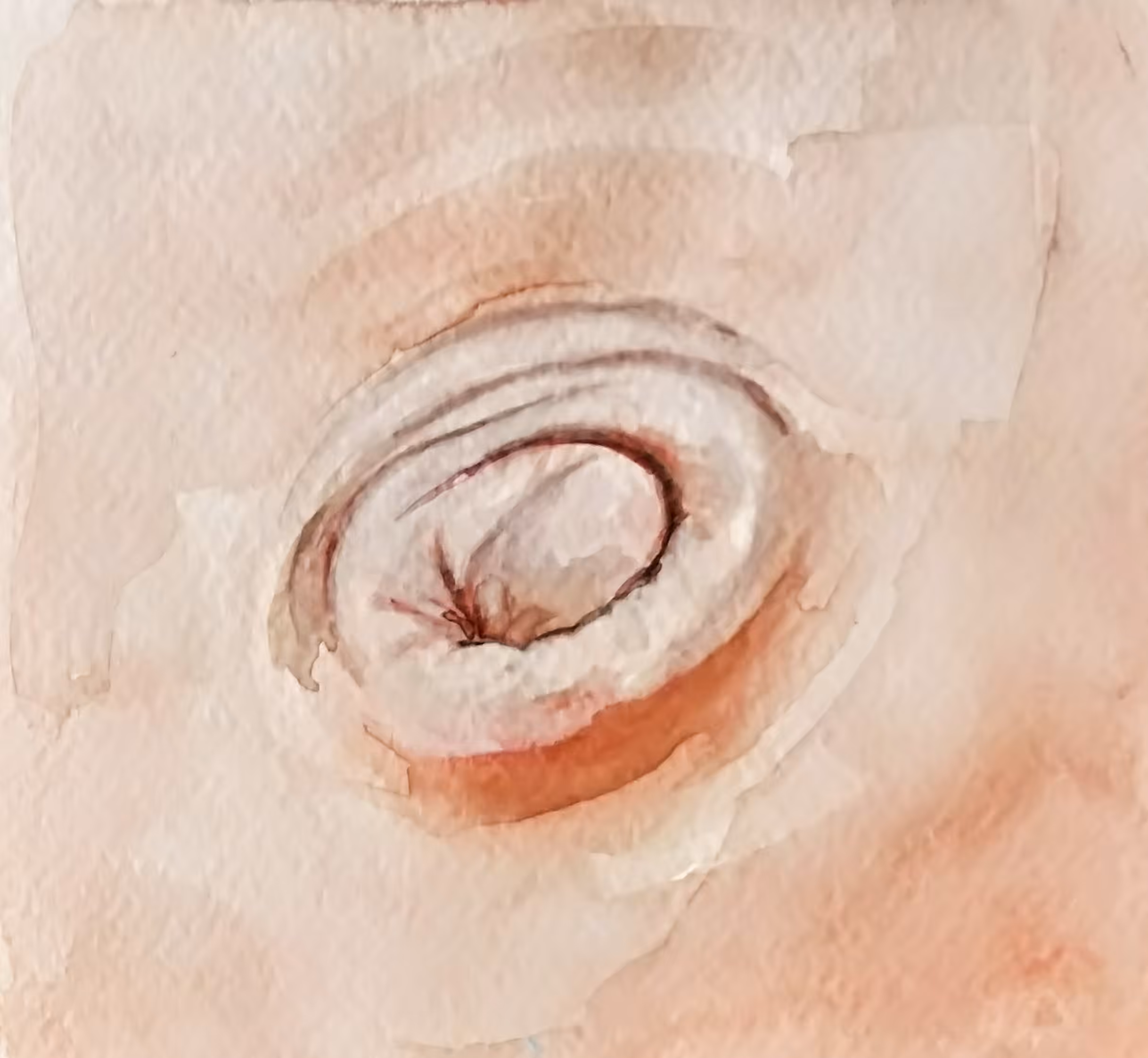 Belly Button
