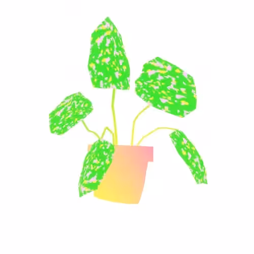 WSL 113 House Plant