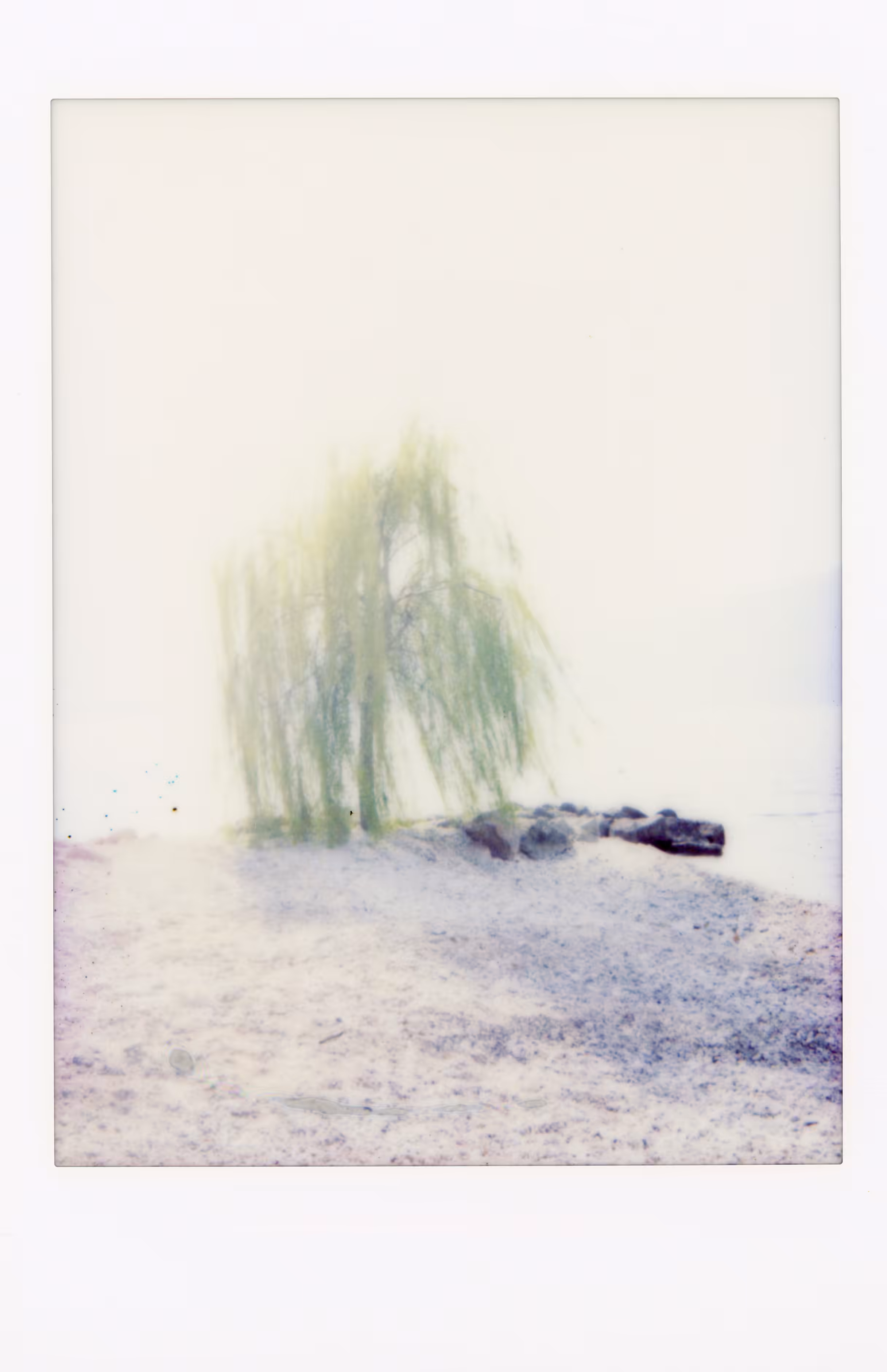 In the mood for Polaroid (Light)