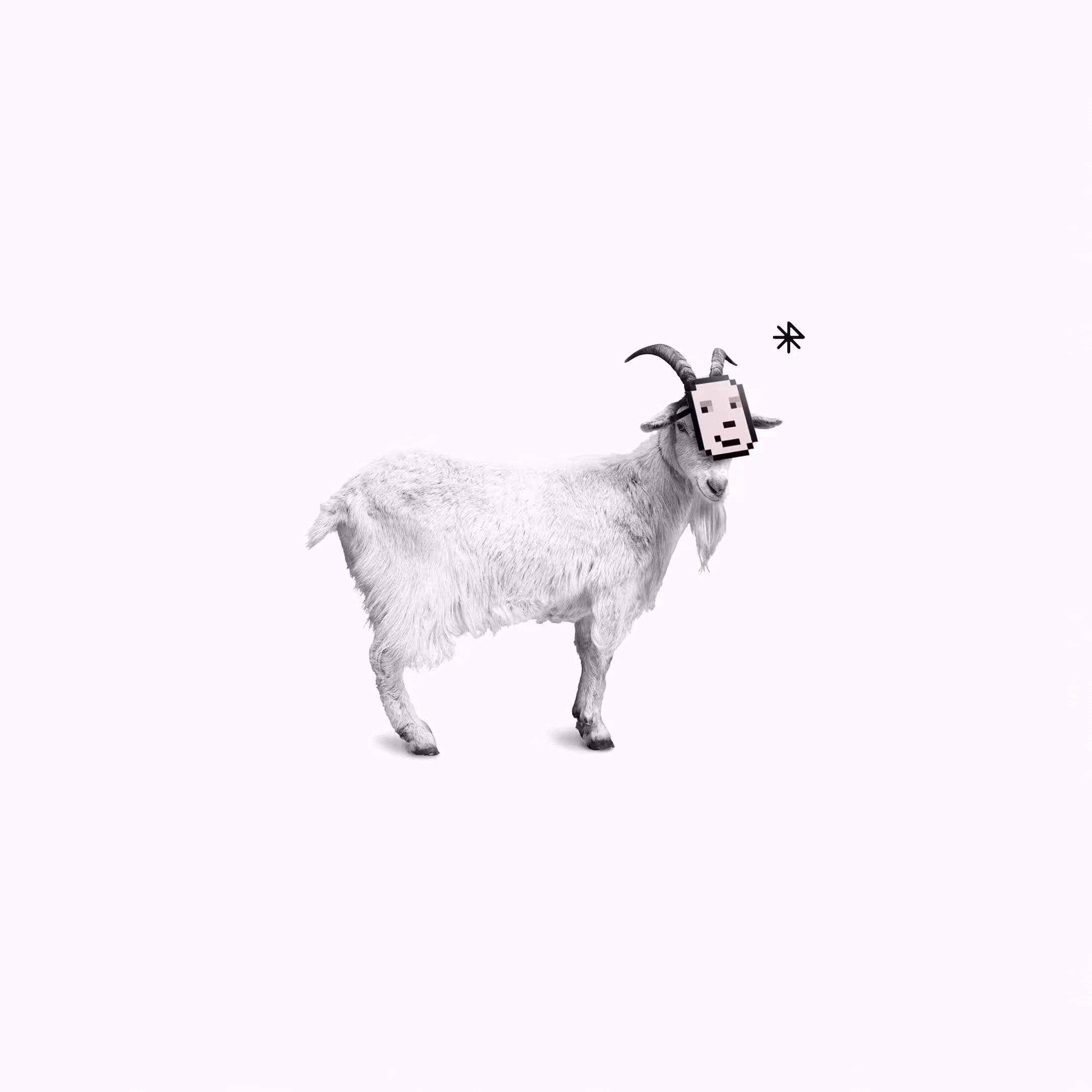 JACK THE GOAT