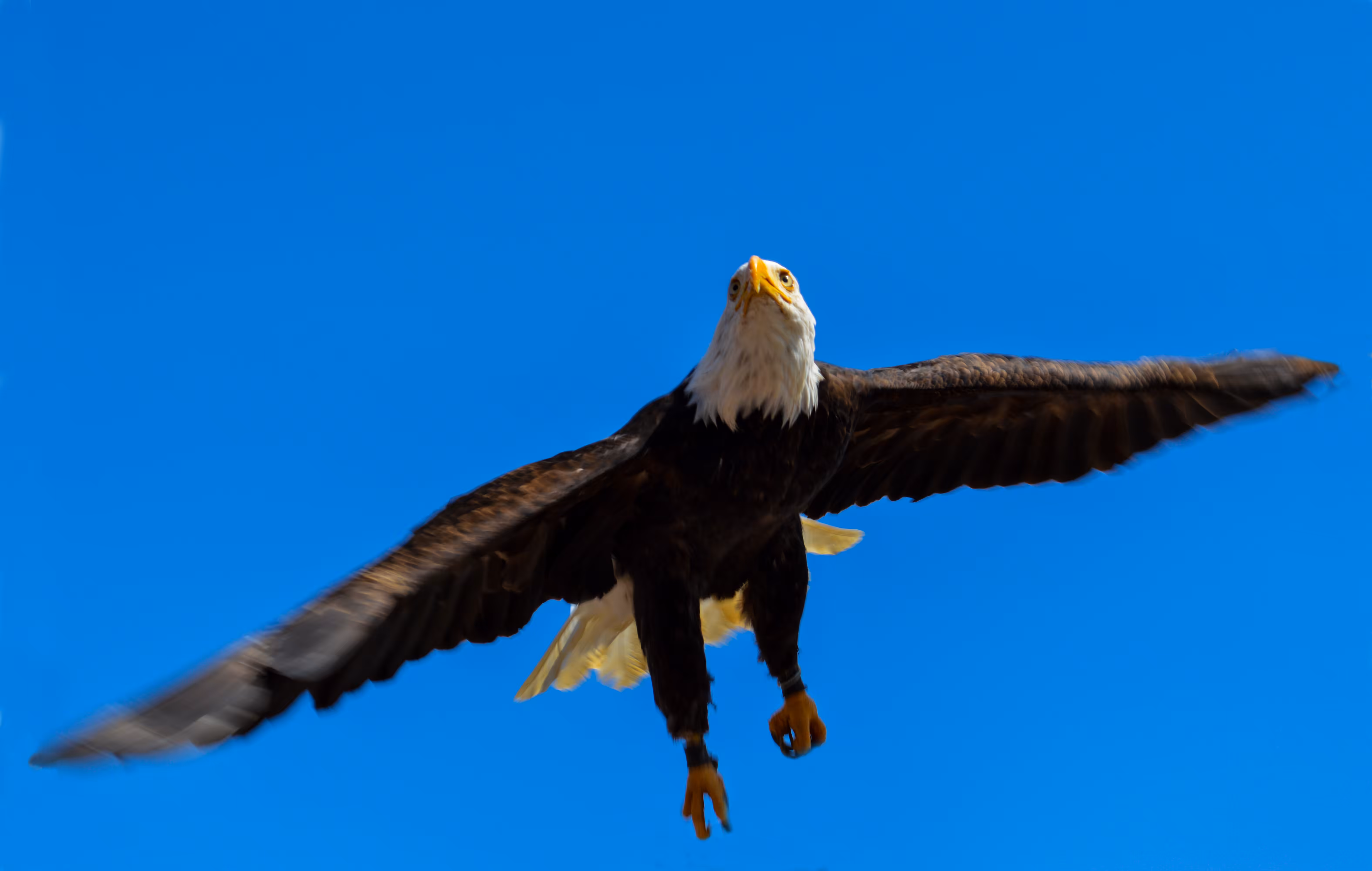 Lift Off