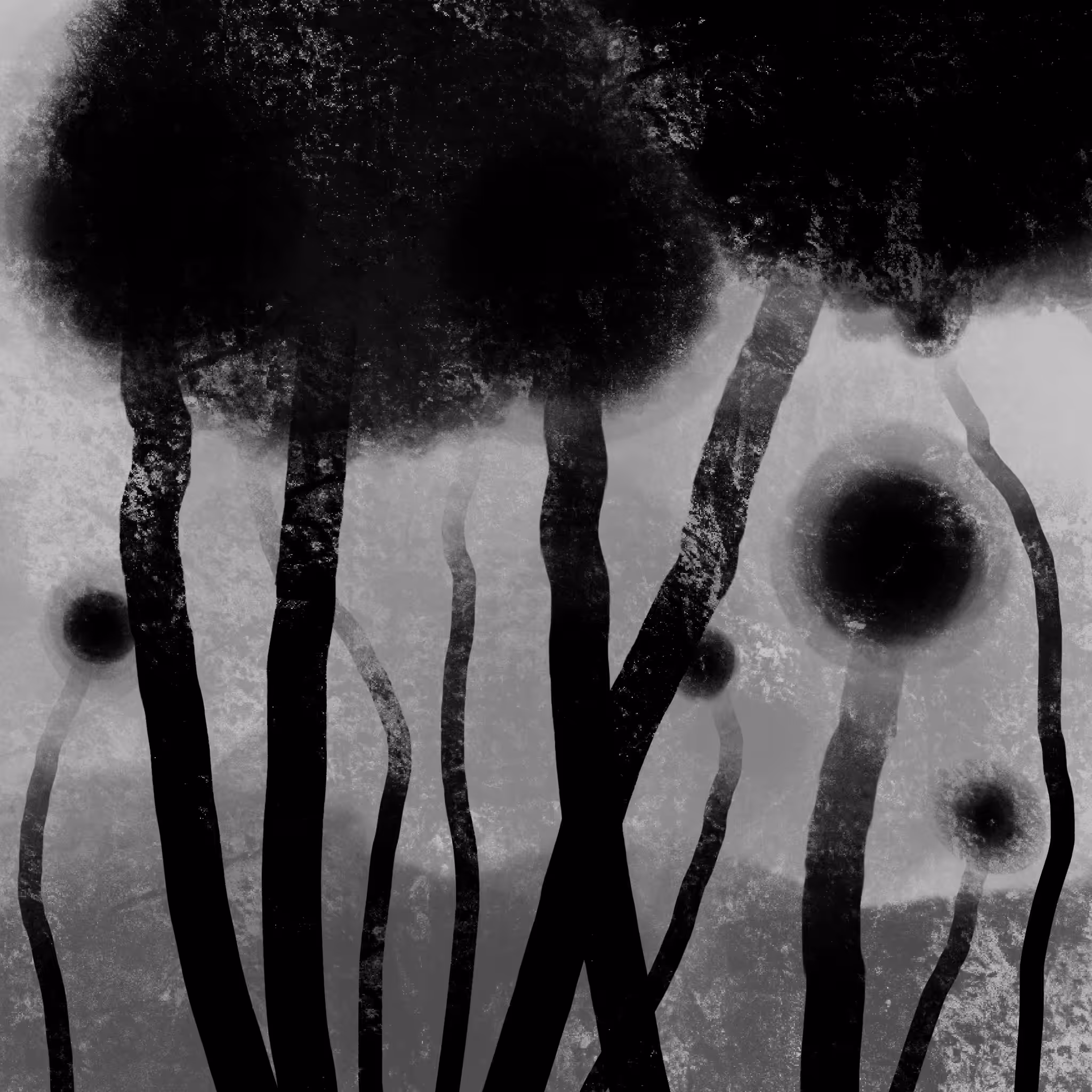 SPORES