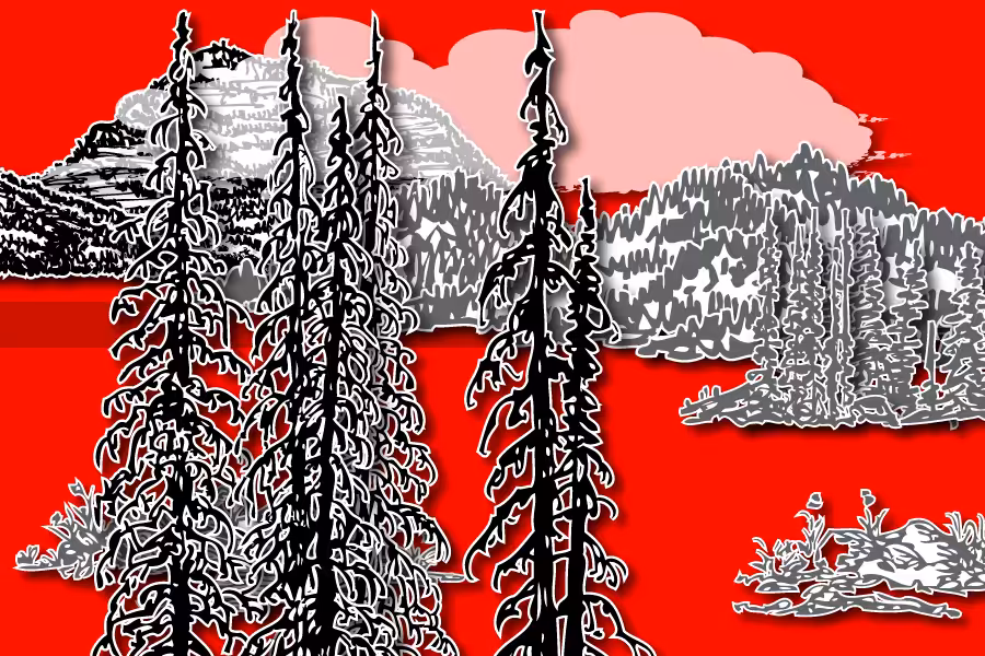 Wild Paper Road #22