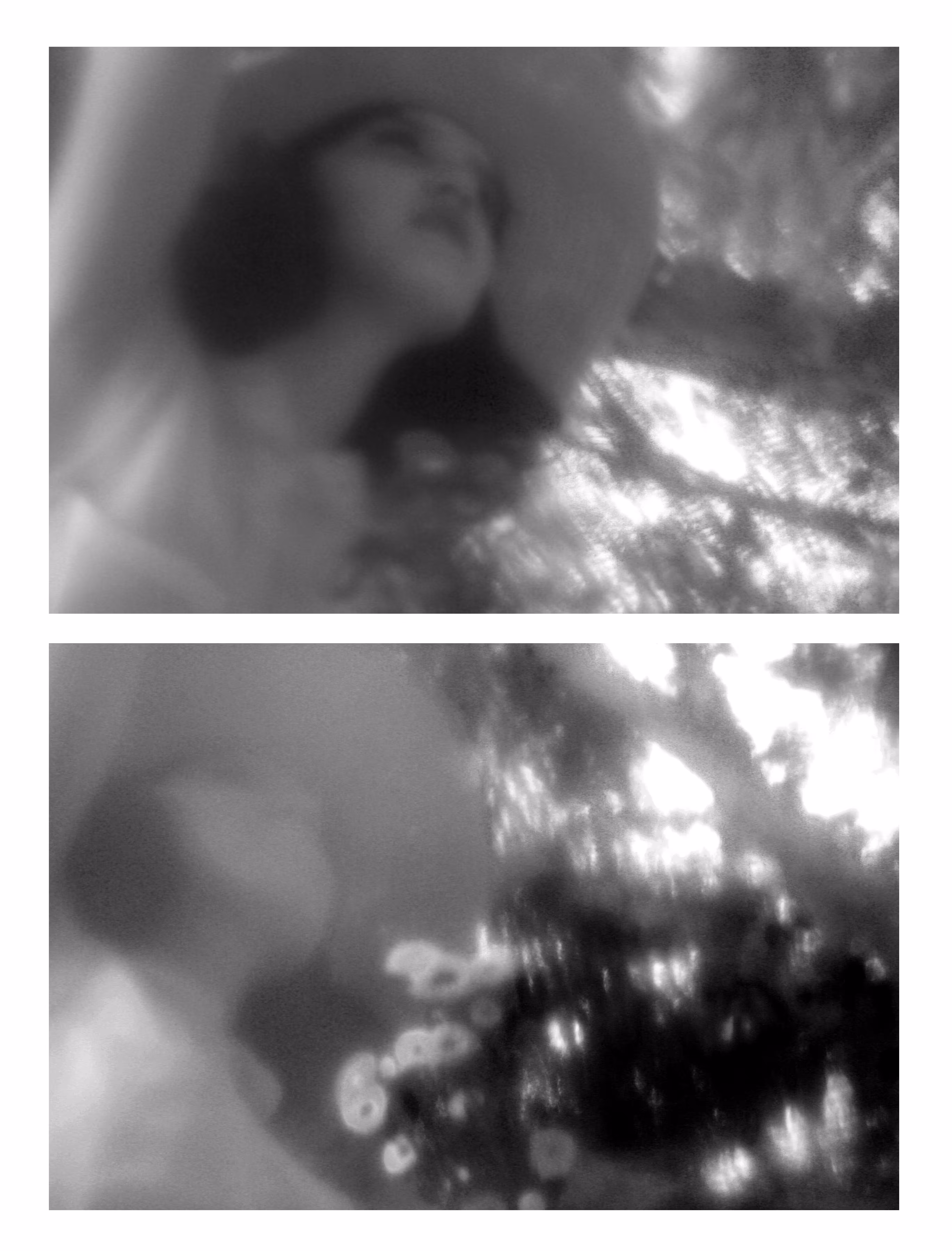Adieu