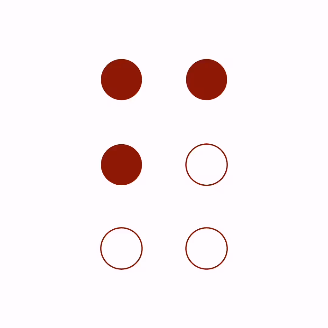 Braille Cell: 6