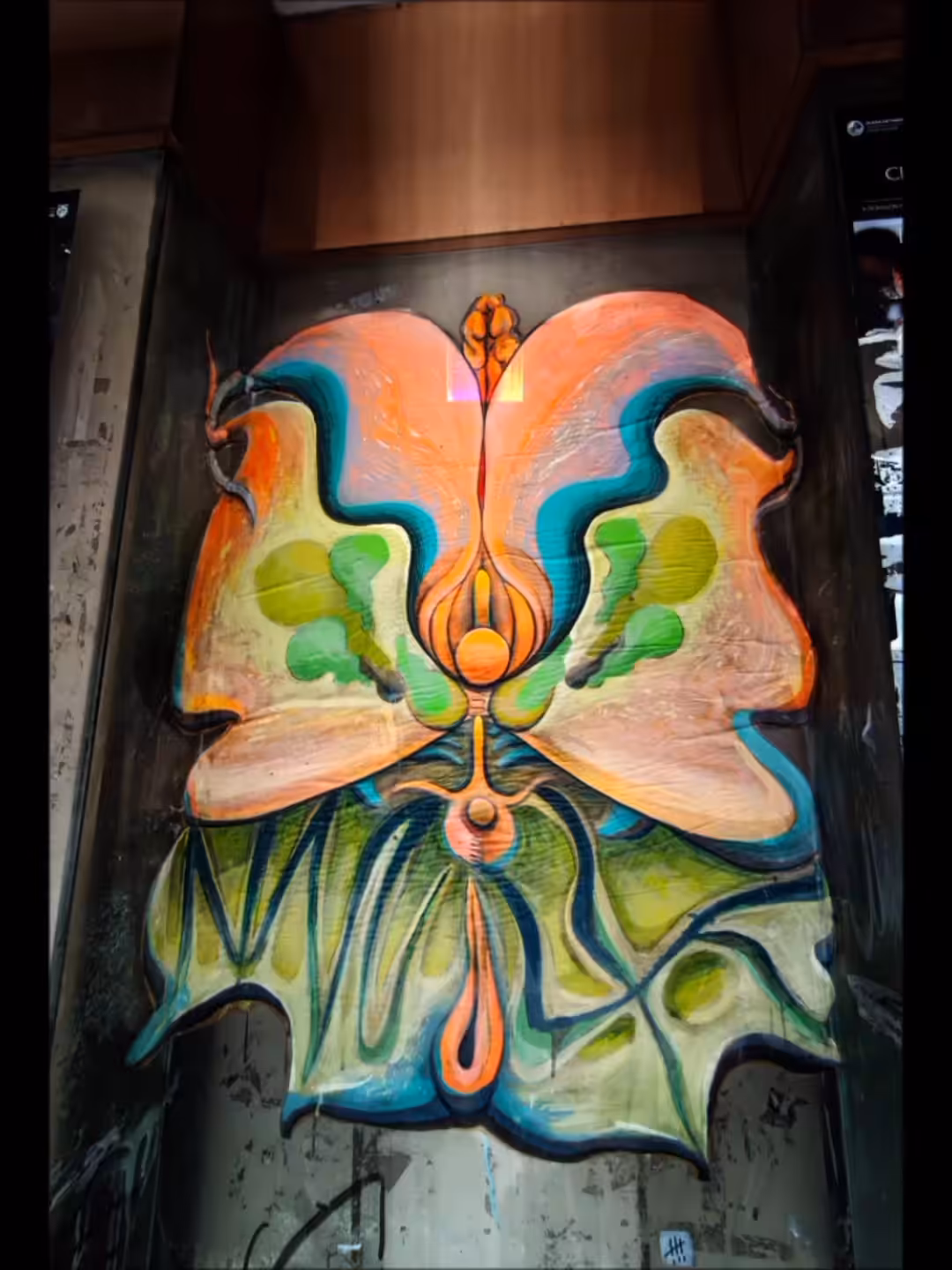 Orquideo