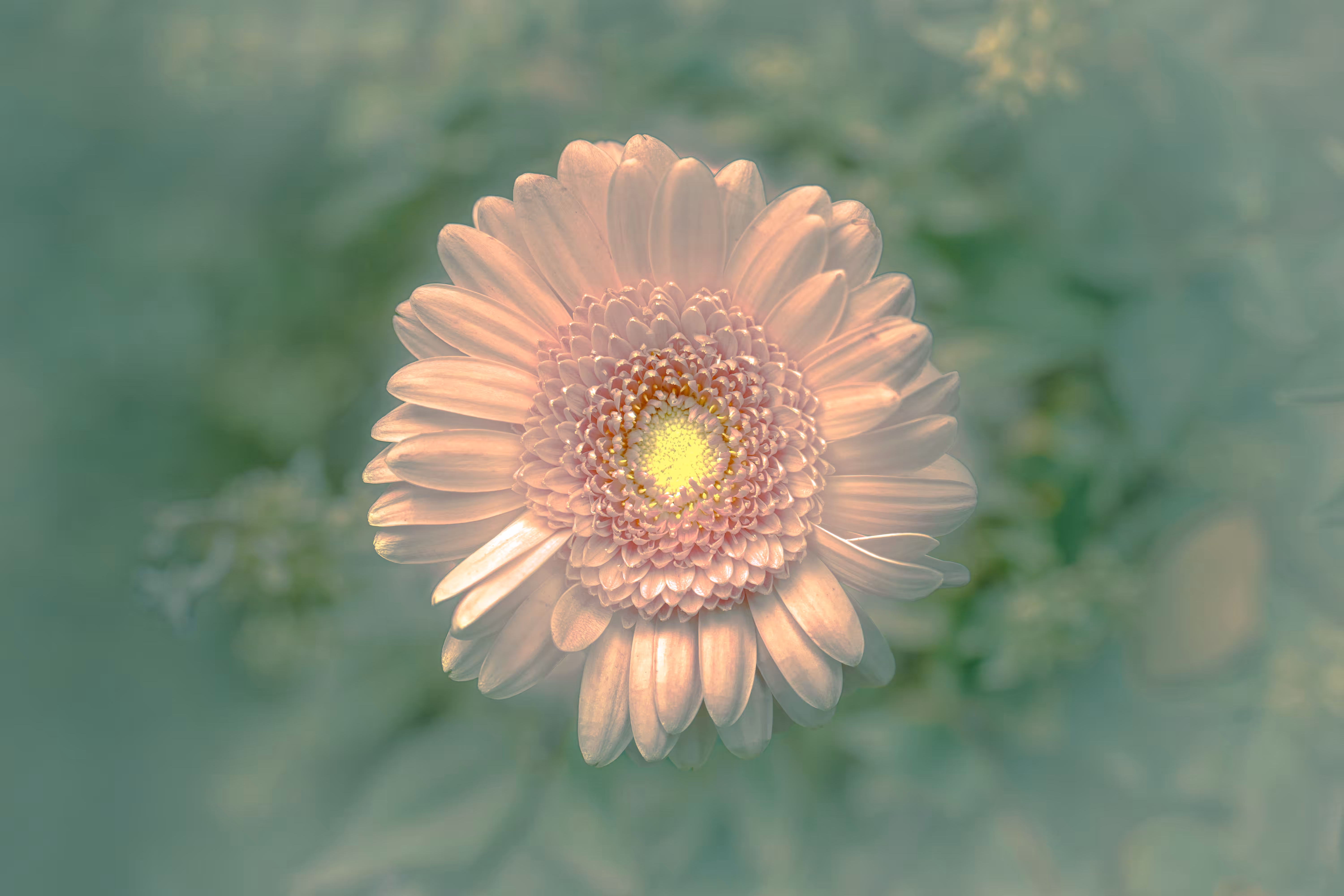 PURE