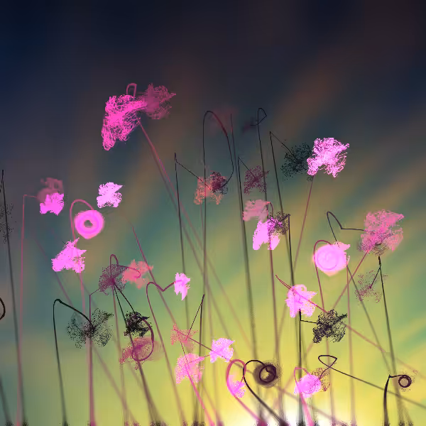 Cottongrass #19