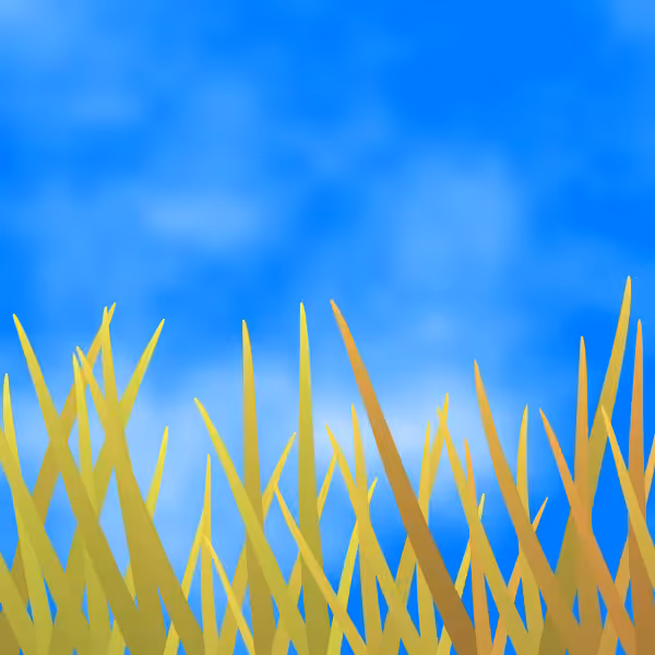 Fields of Ukraine #28