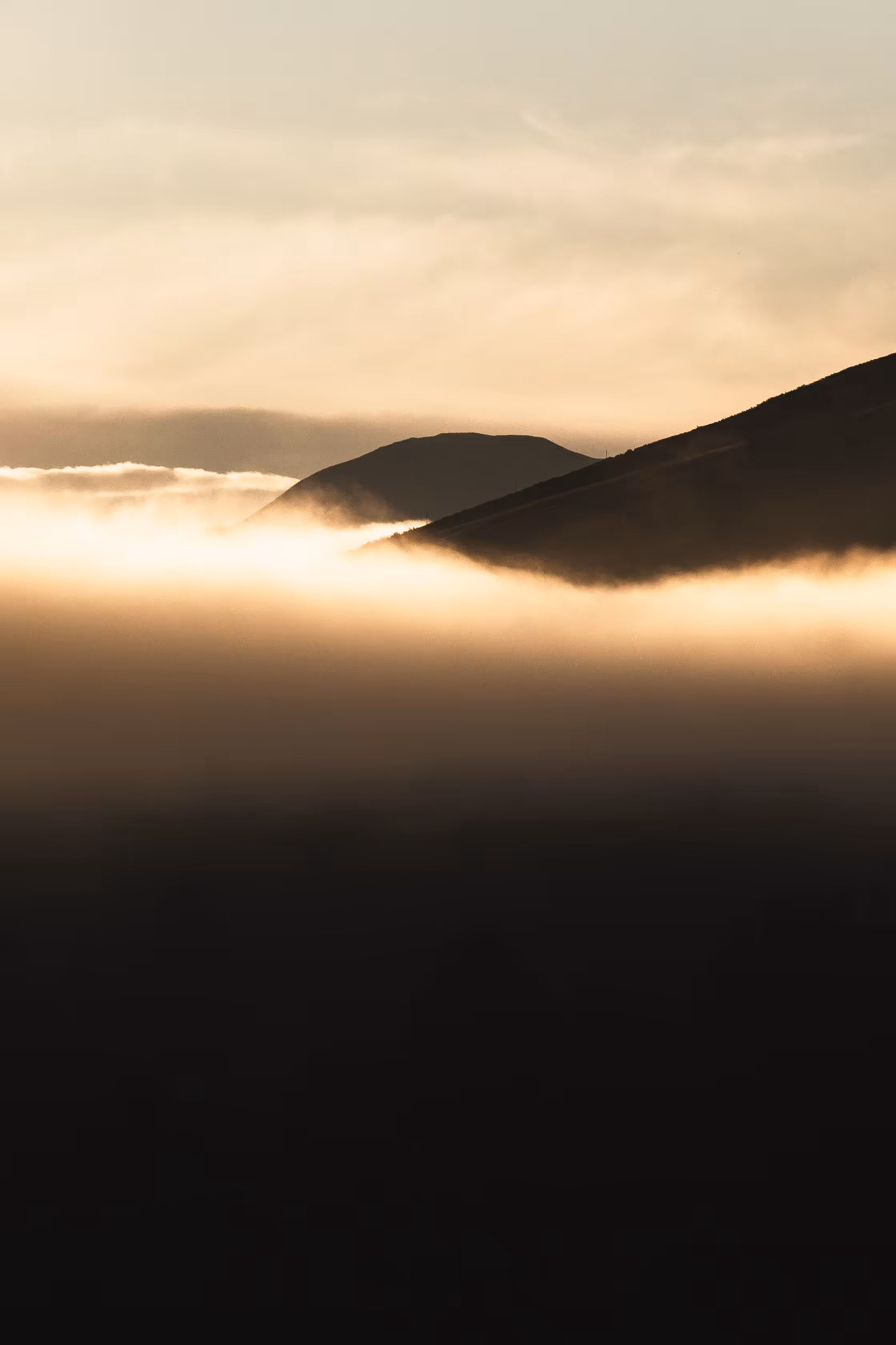 Basque Inversion #1