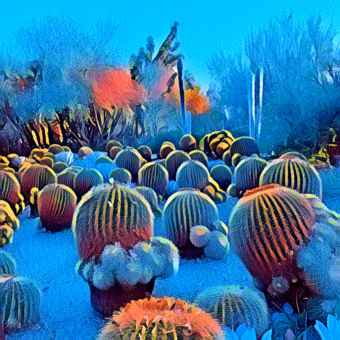 Cactalien Landscape