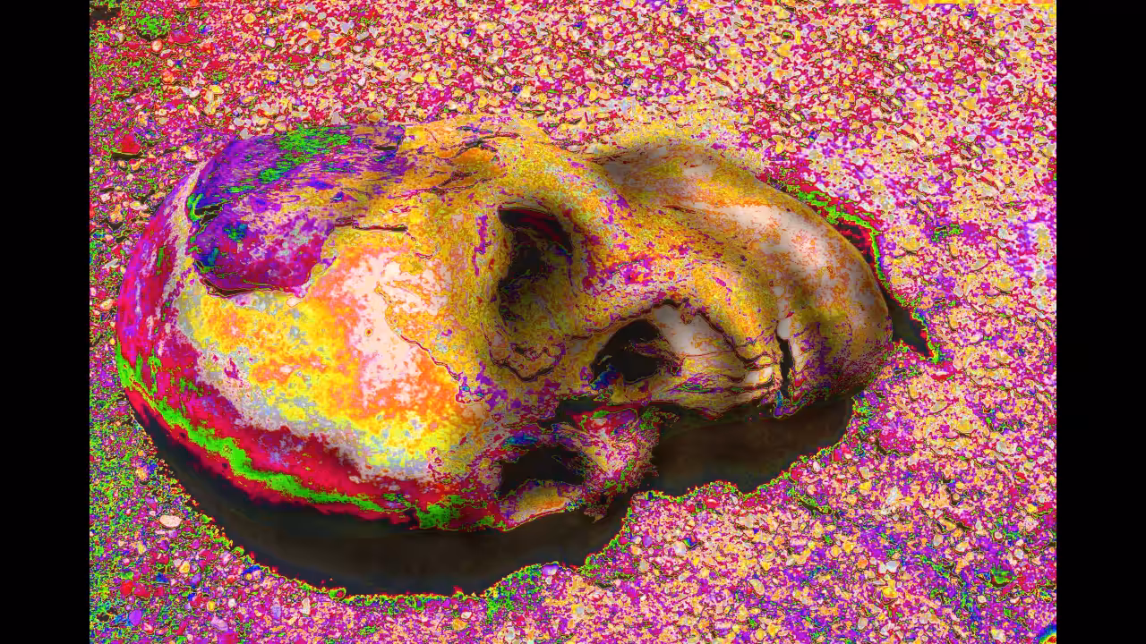 Dead Head