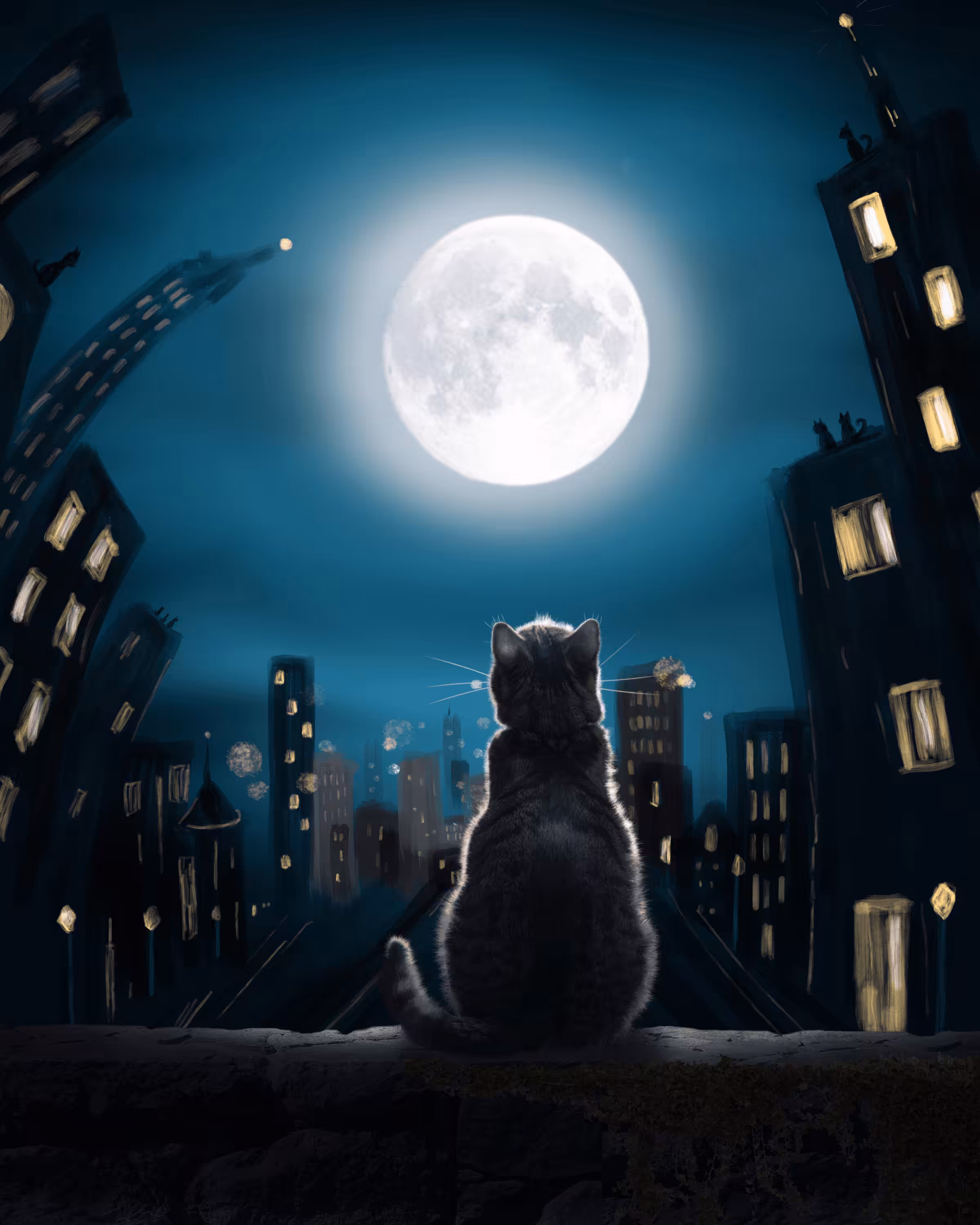 Day 14: Cat's Amore