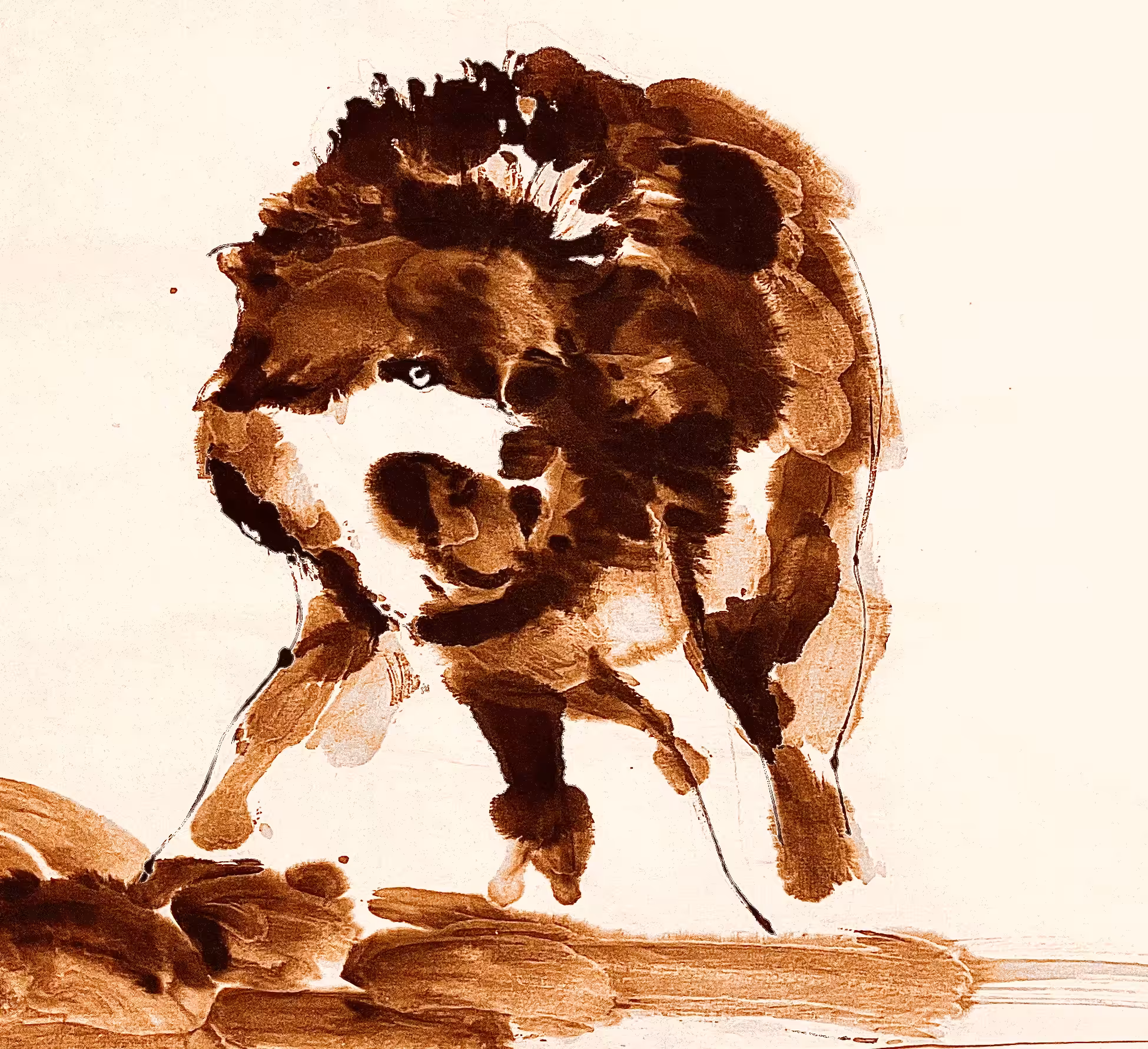 Wolf