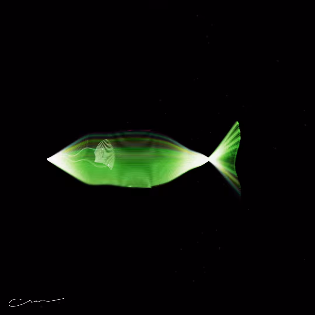 SoulFish #163