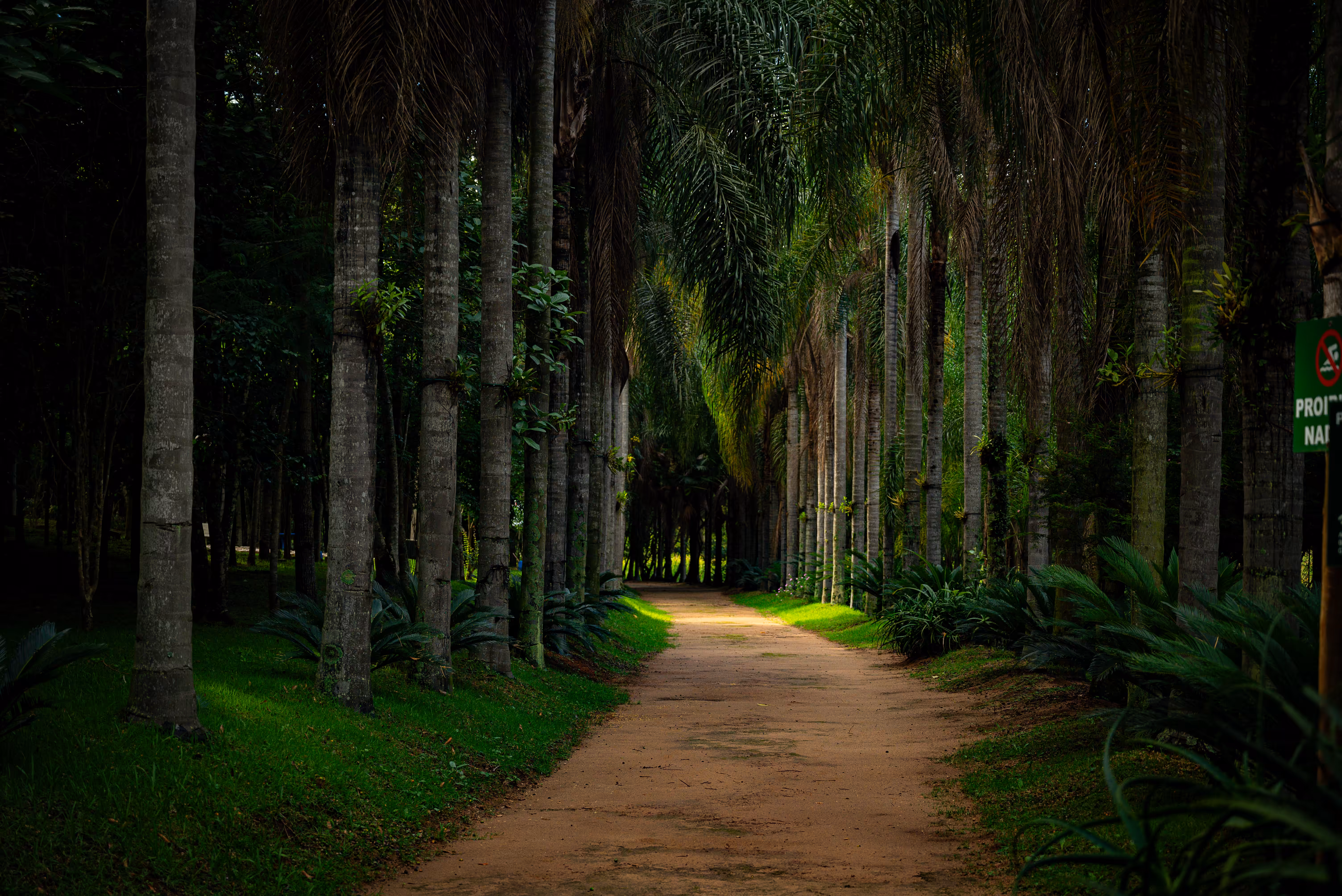 A new path opens up