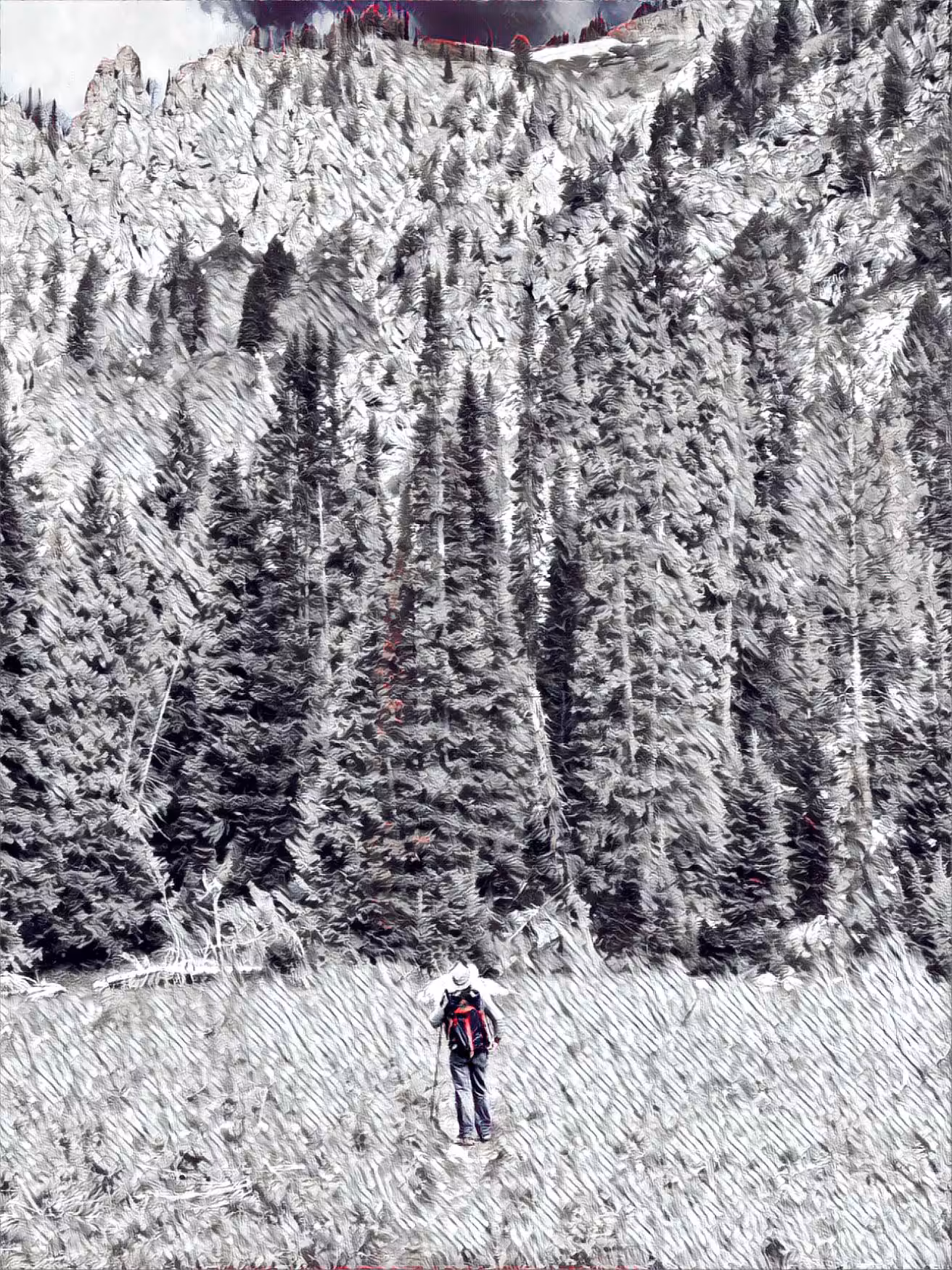 Into The Canyon