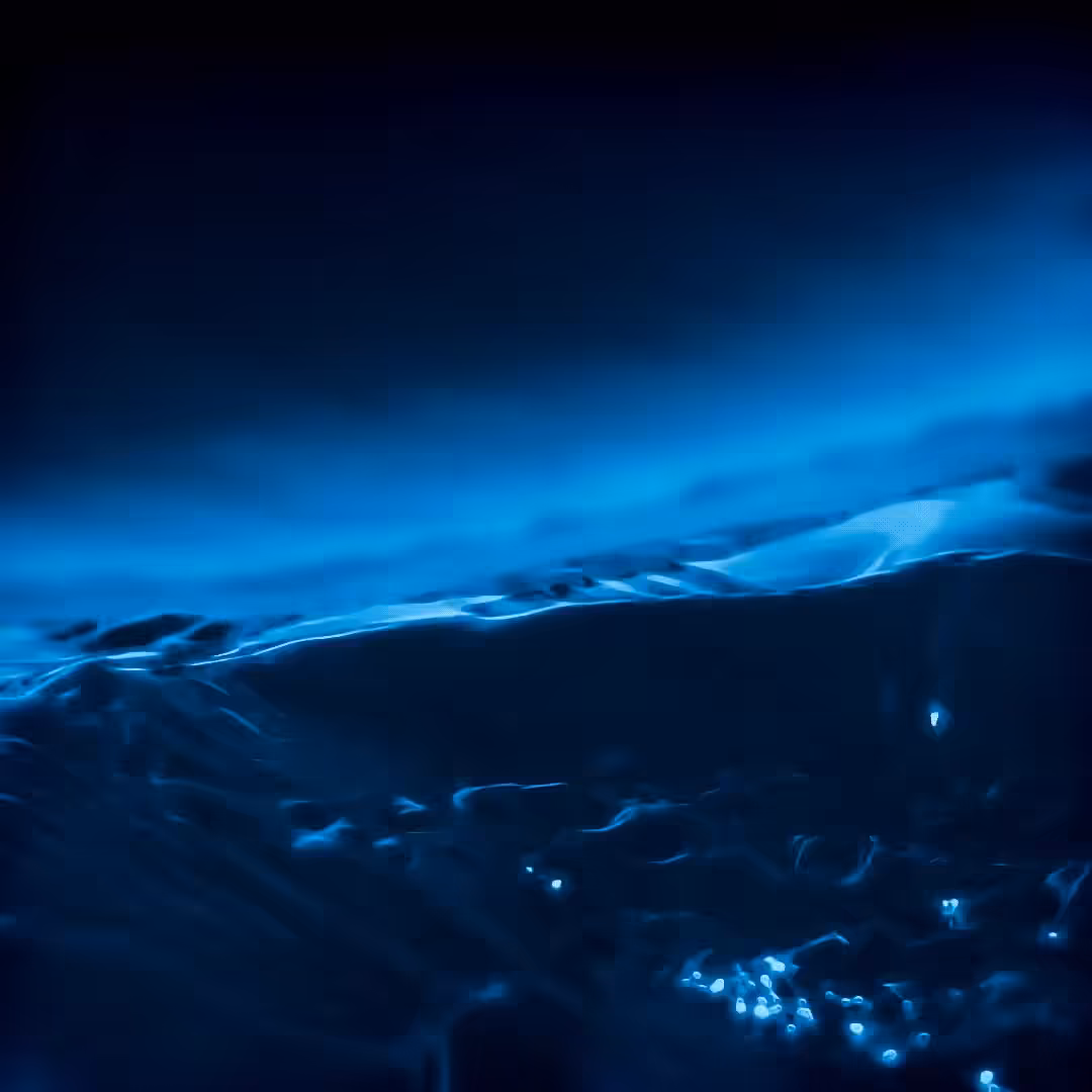 Flood