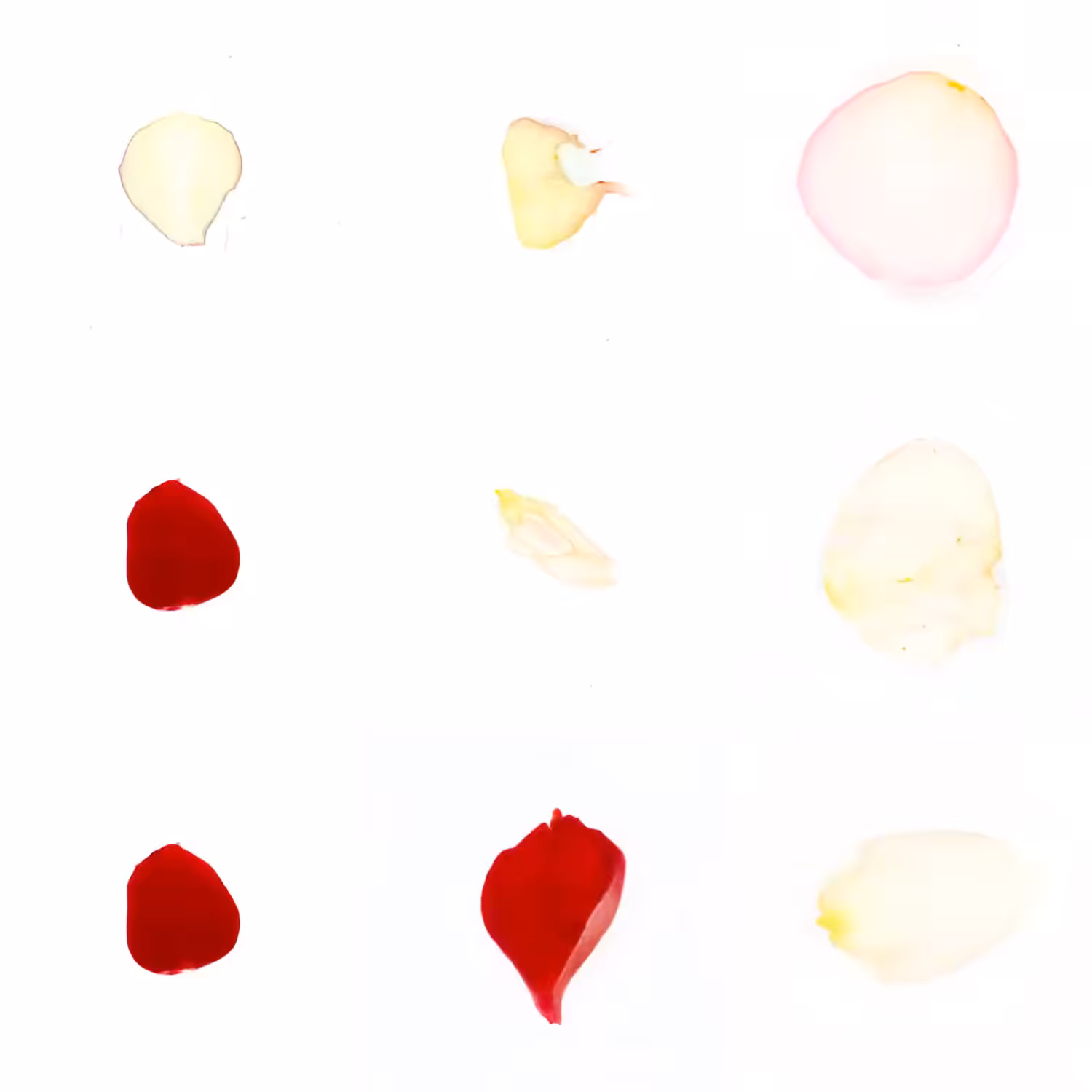 Infinite Petals 3x3#21317