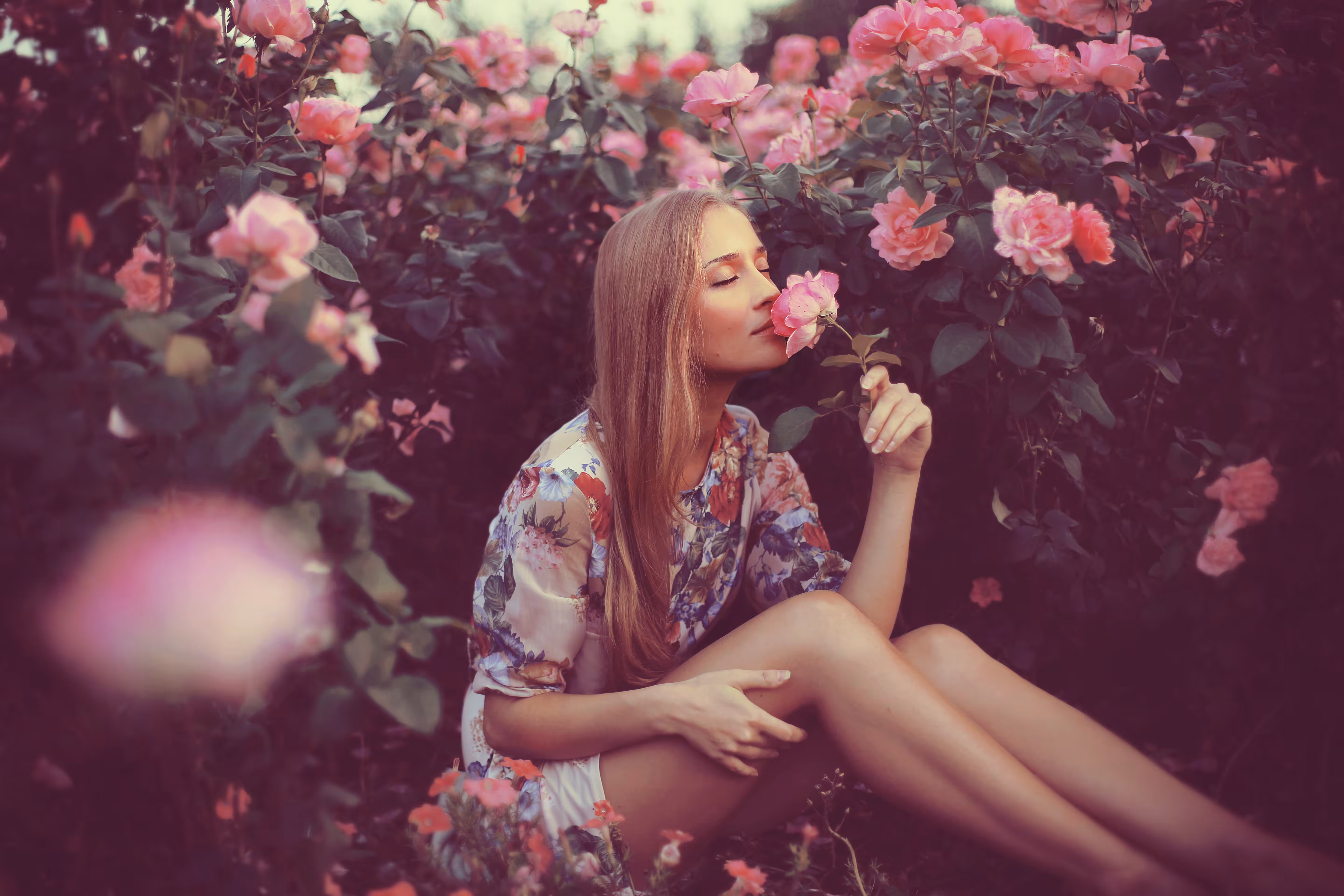Dream