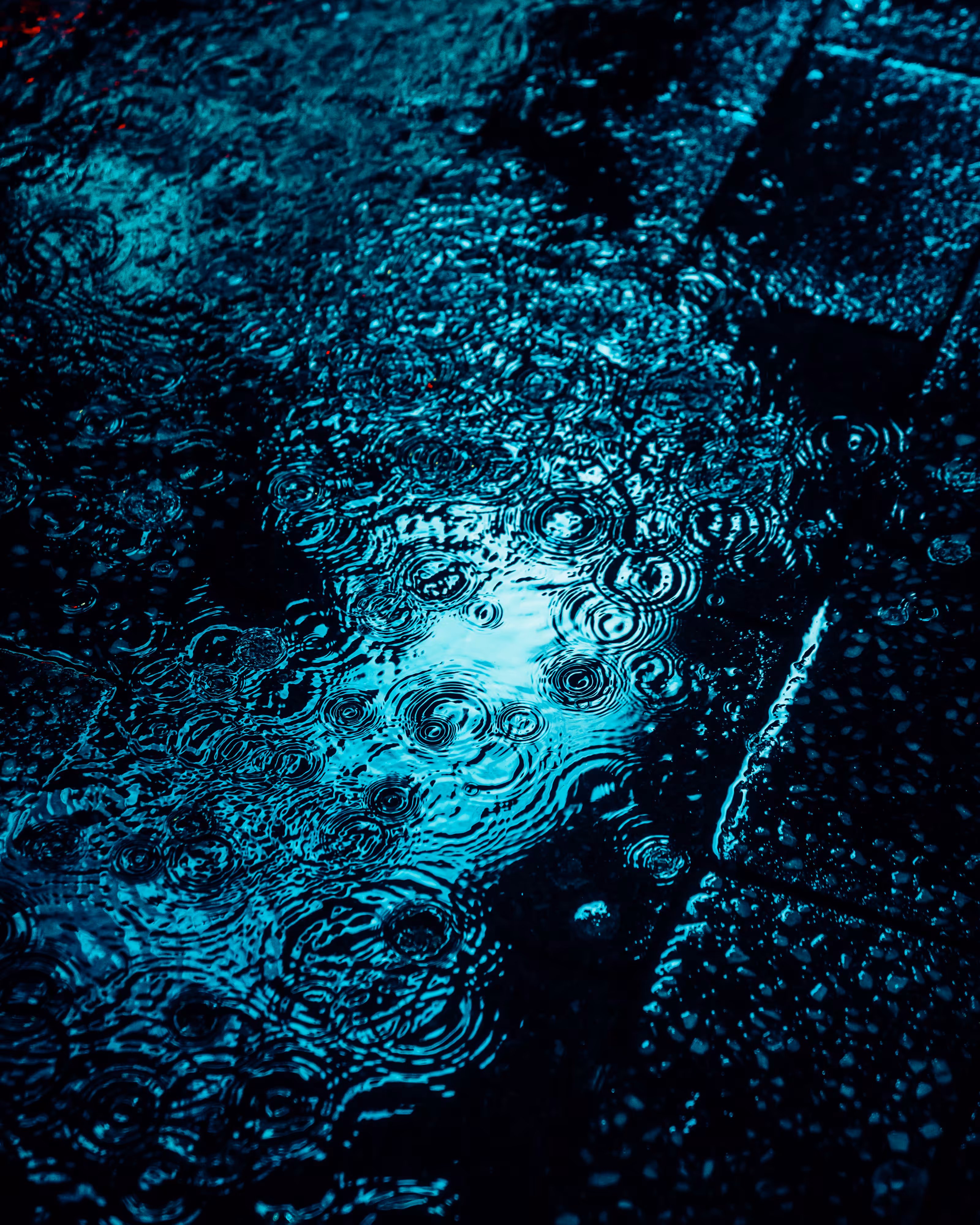 DRIP DROP: DRIP #355