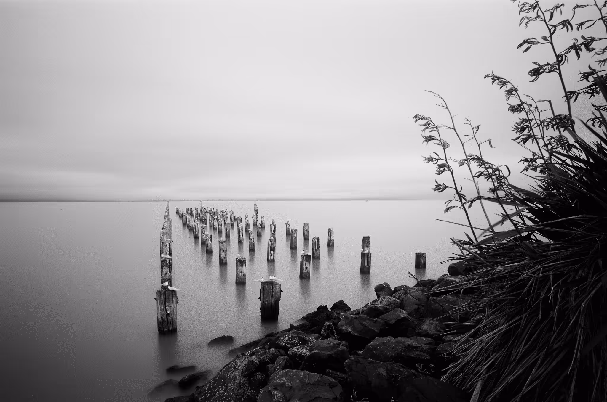 Burke Street Wharf #2