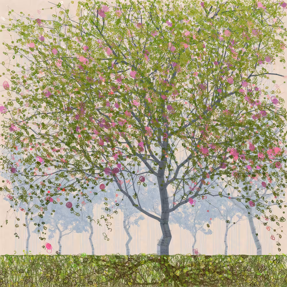 Orchard #315