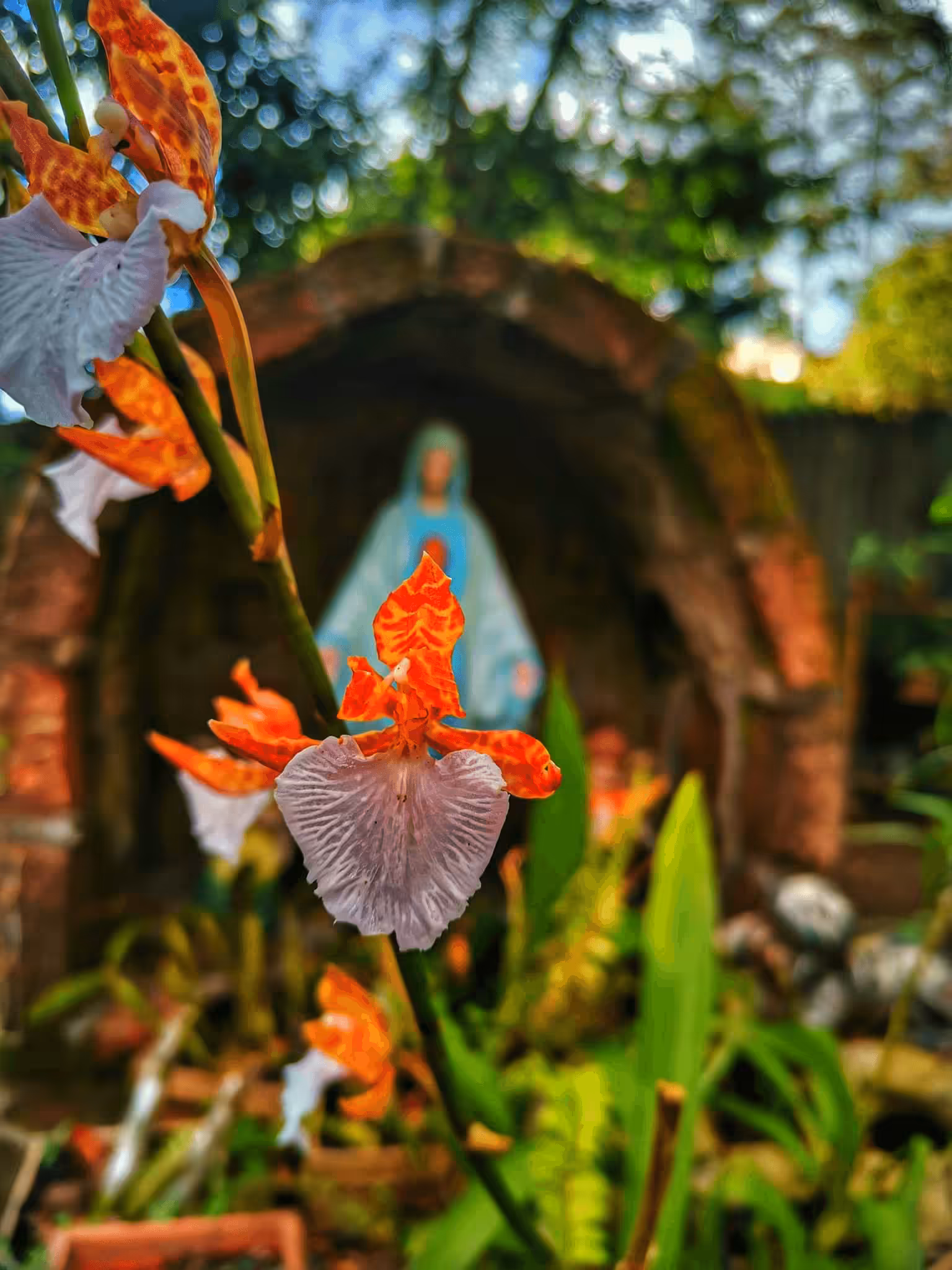 12. Colors of life