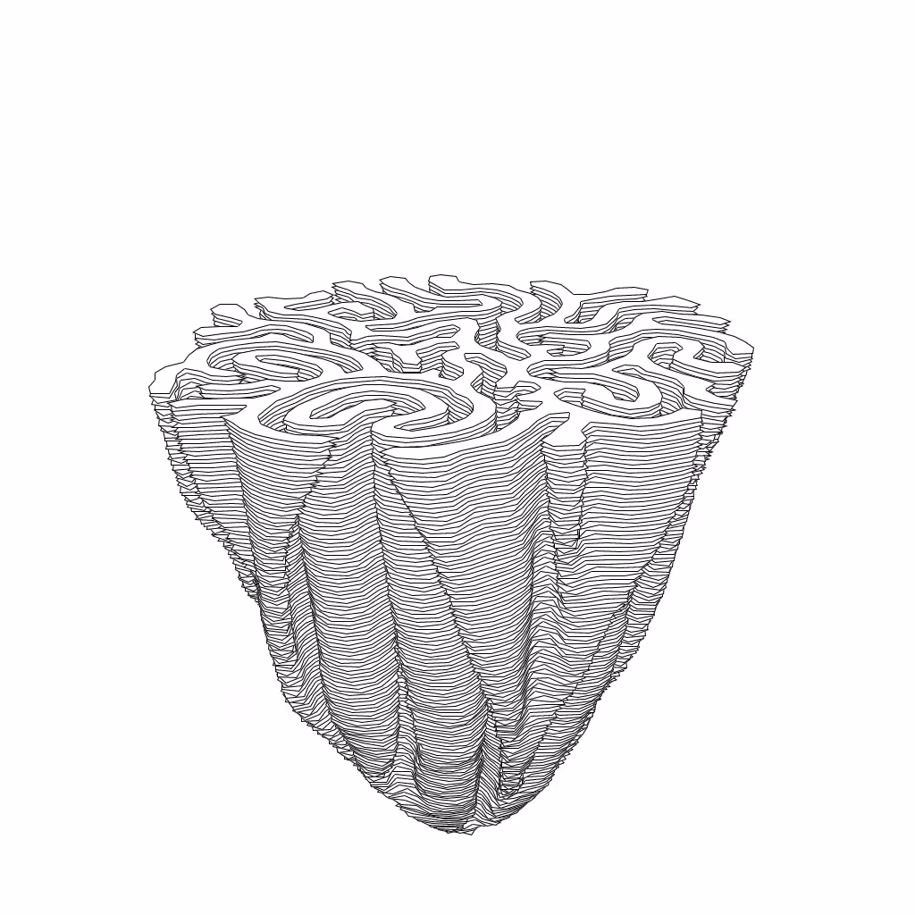 LL21 Differential Growth #10