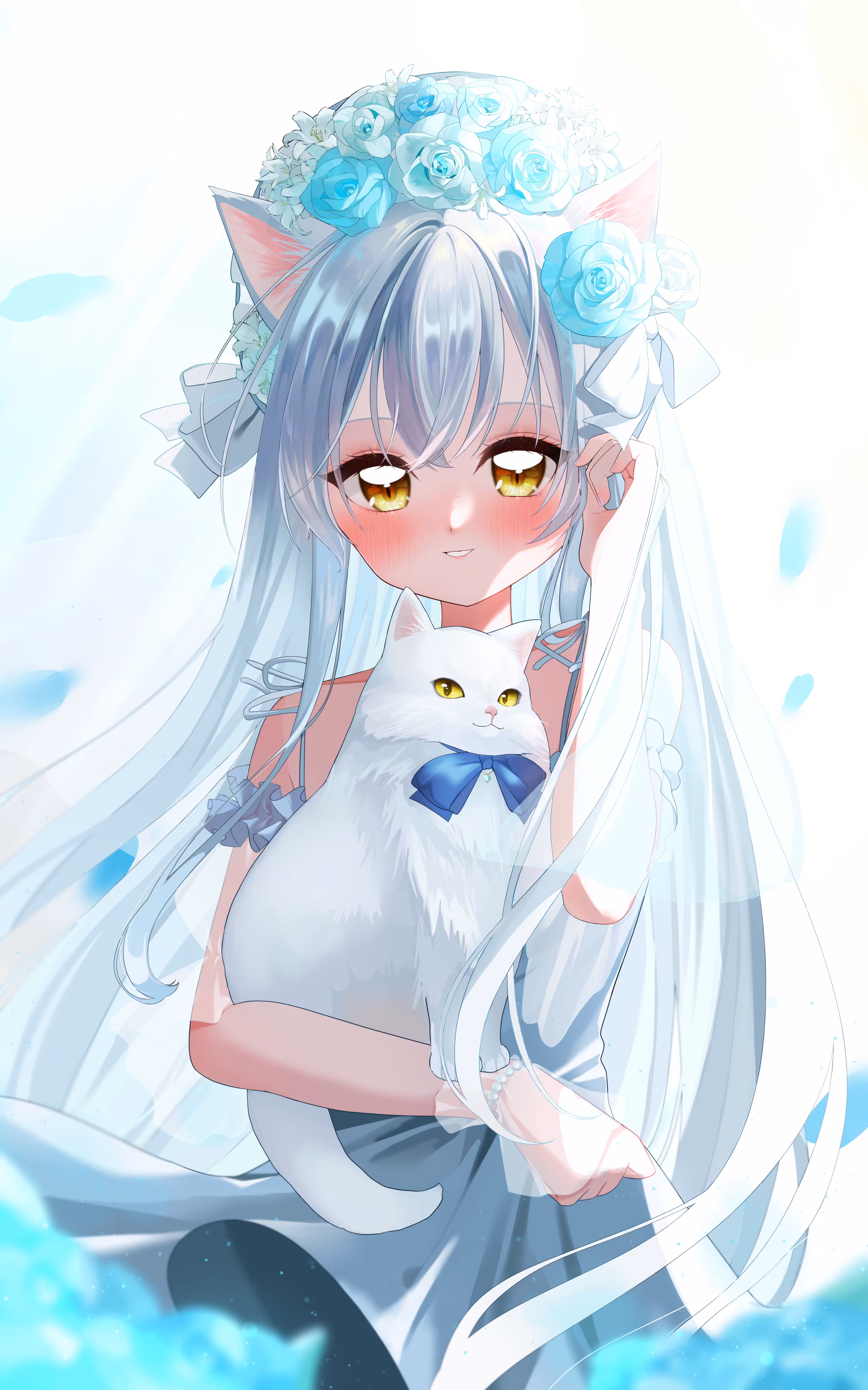 Brilliant Cat