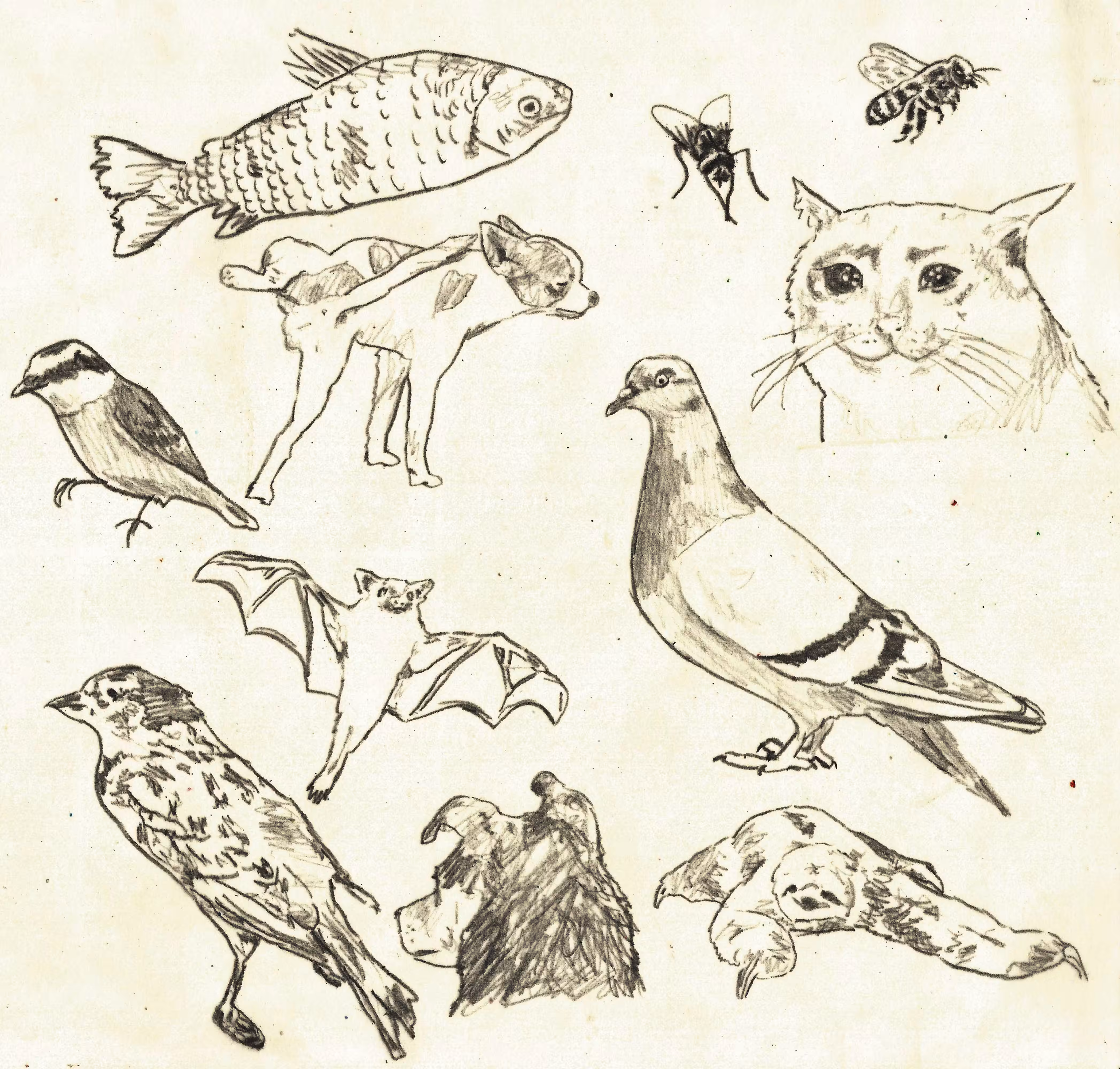 flying folks