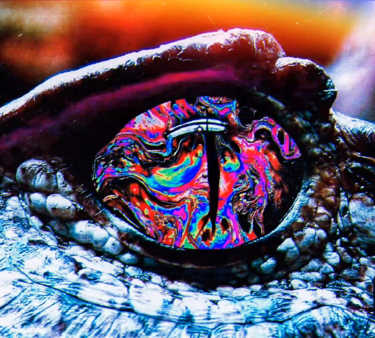 Croc Gawk