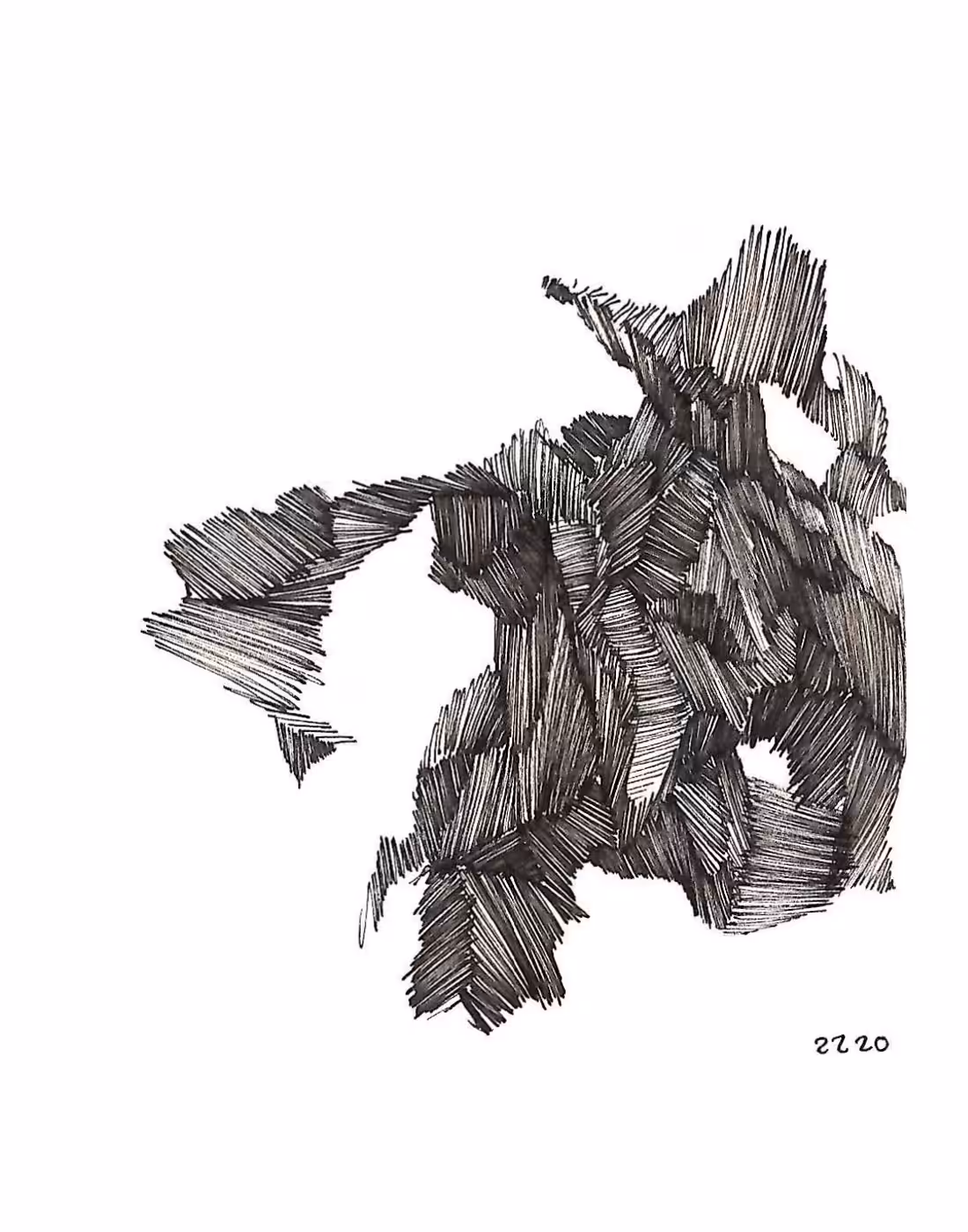 DN - Random Lines