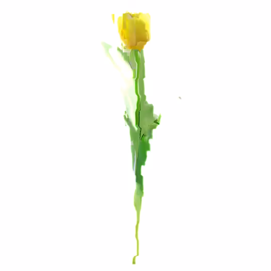 Yellow Tulip #01