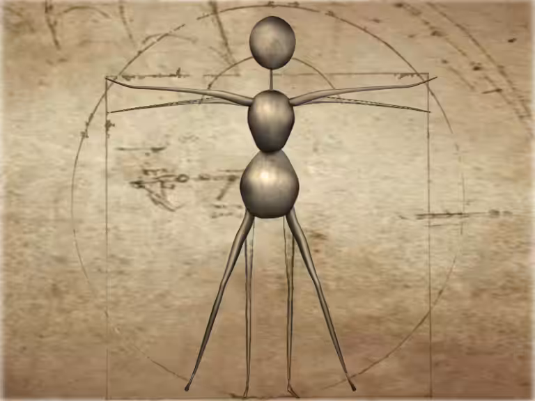 Vitruvian antwoman