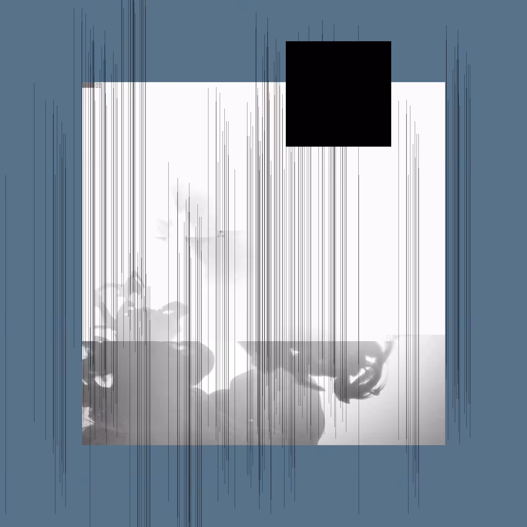 Motions #19