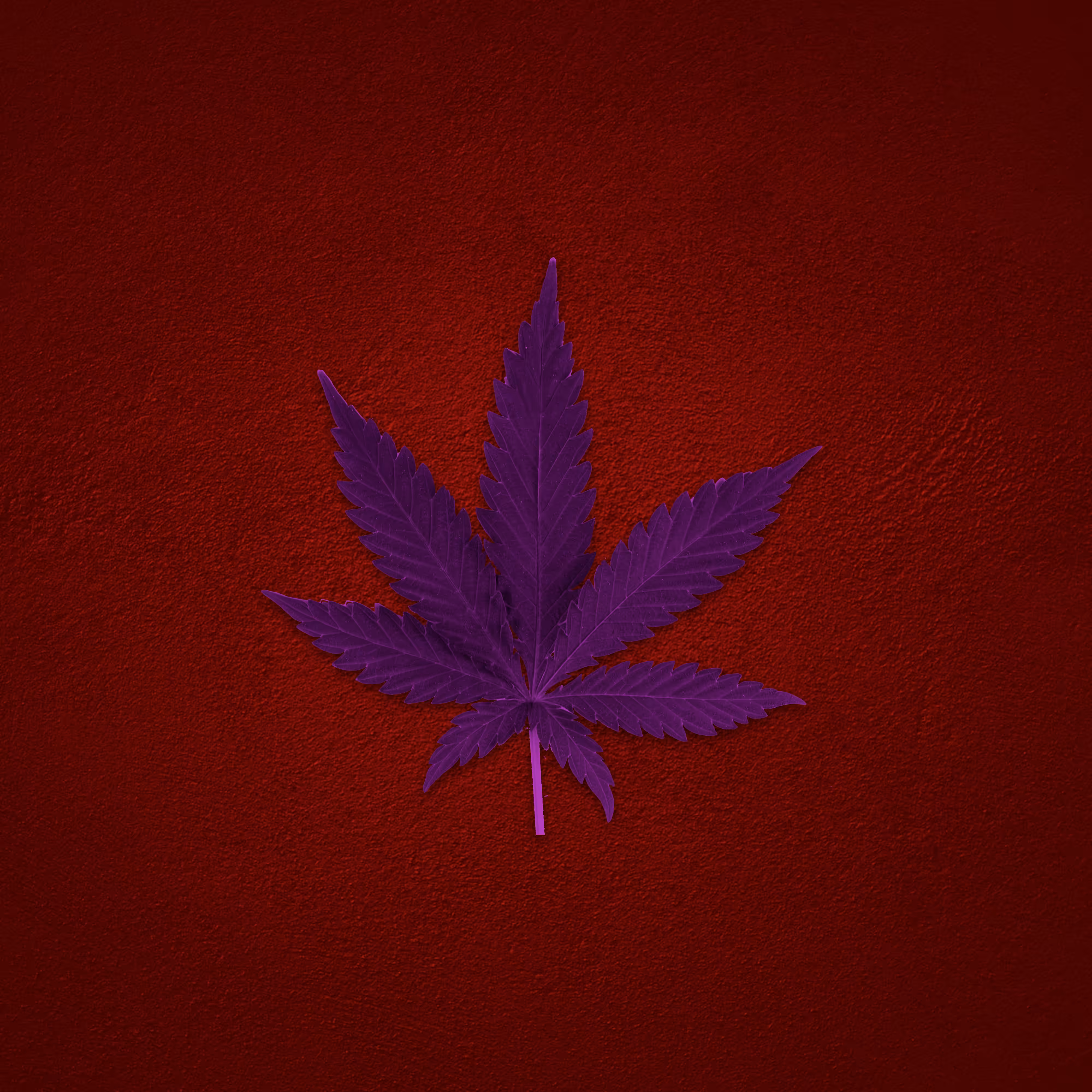 Organic Series - LEAVES Part. III