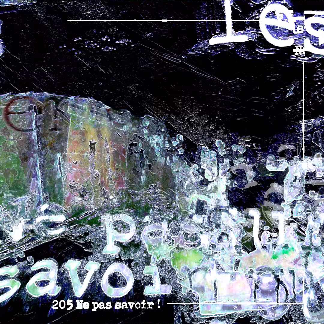 205 Ne pas savoir